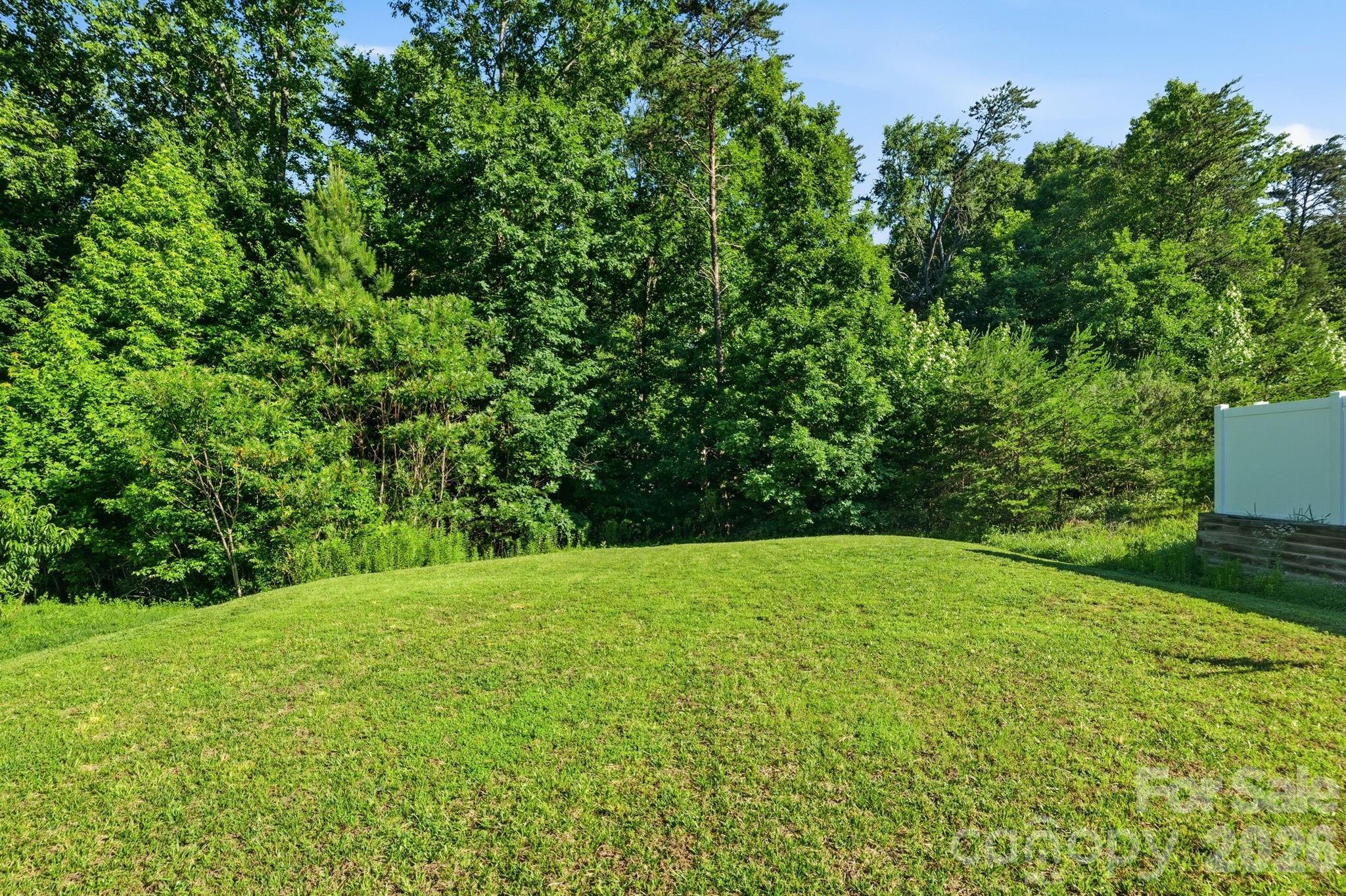 Private backyard with a wooded backdrop, offering a peaceful setting and added privacy for outdoor enjoyment. - 3341 Linetender Drive, Davidson