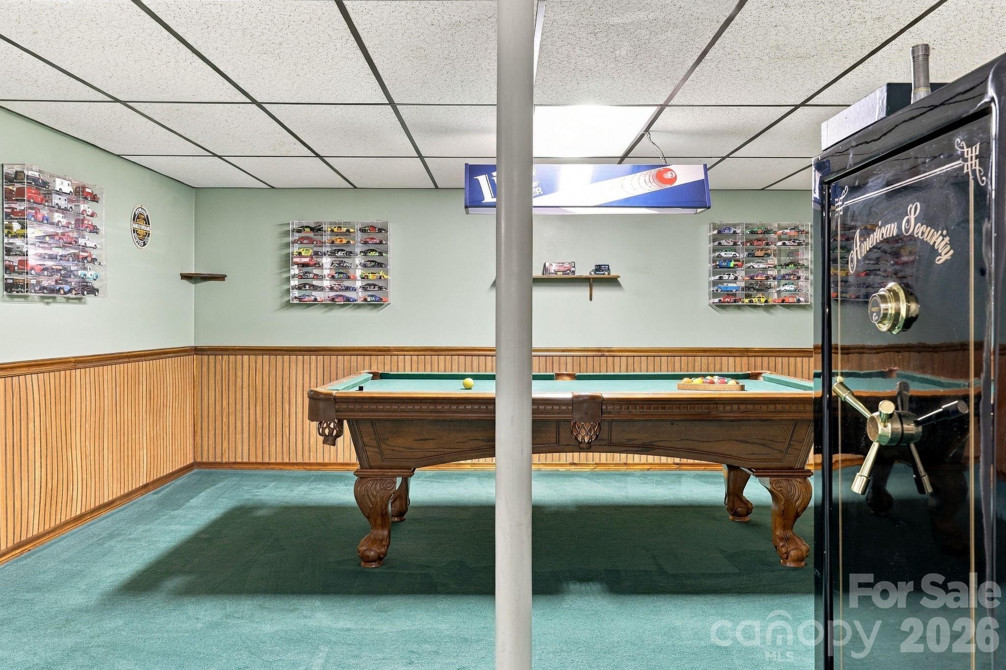 Finished lower level flex space- DRY! - 6 Cisco Road, Asheville