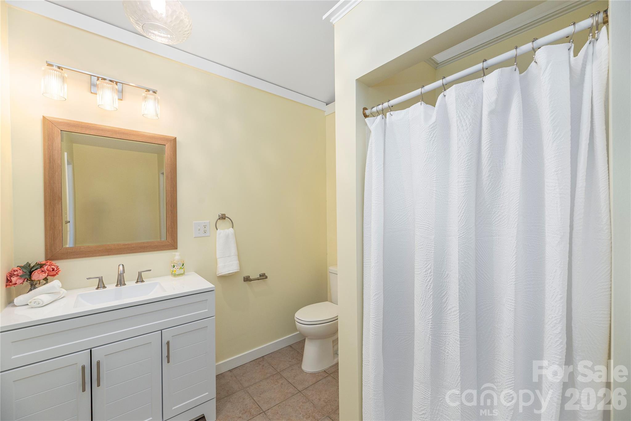 Lower level bathroom - 223 Davidson Road, Swannanoa