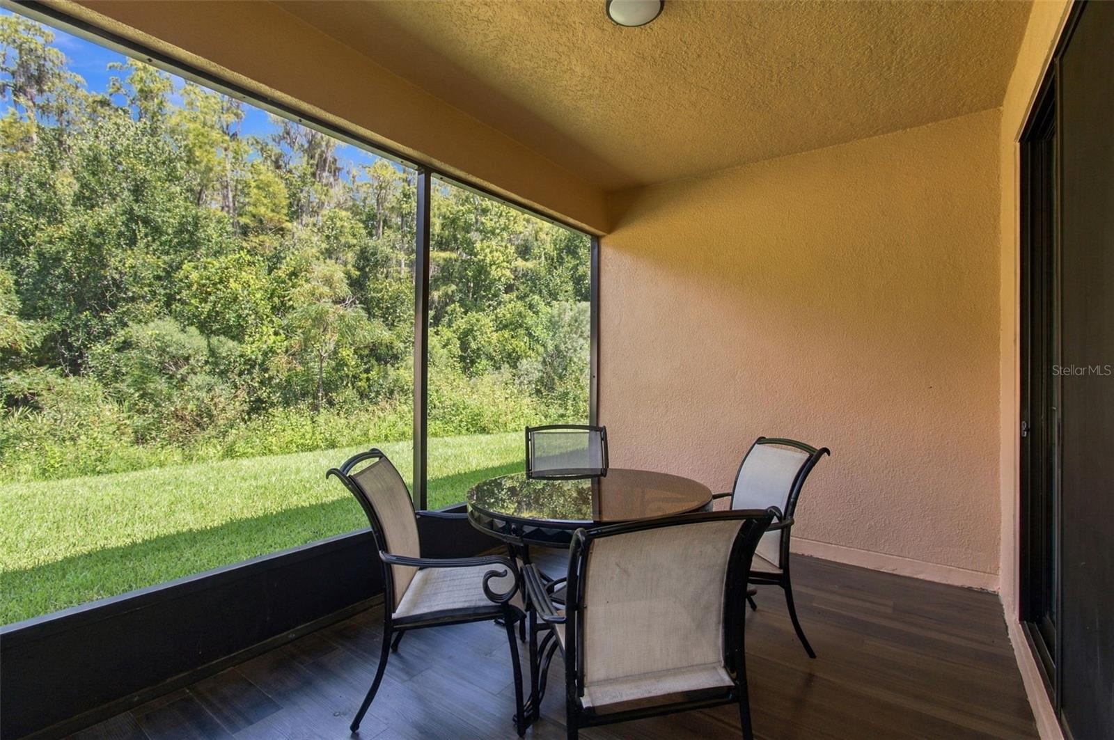 Screened lanai - 884 GRAND CANAL DR, KISSIMMEE