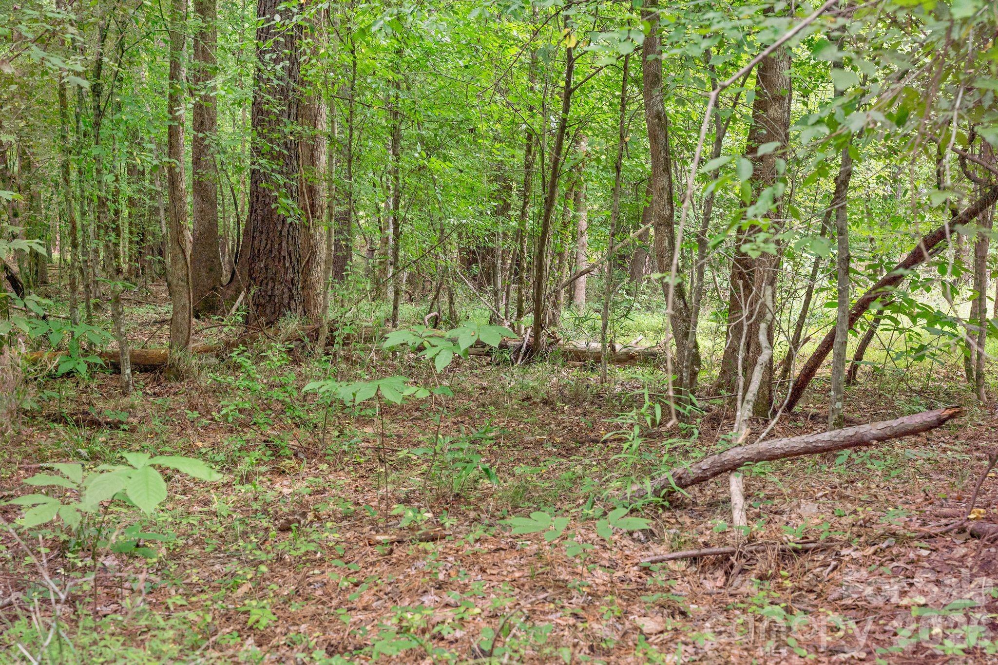 Acreage at 0000 Hwy 72 Highway, Carlisle, photo 11 of 30
