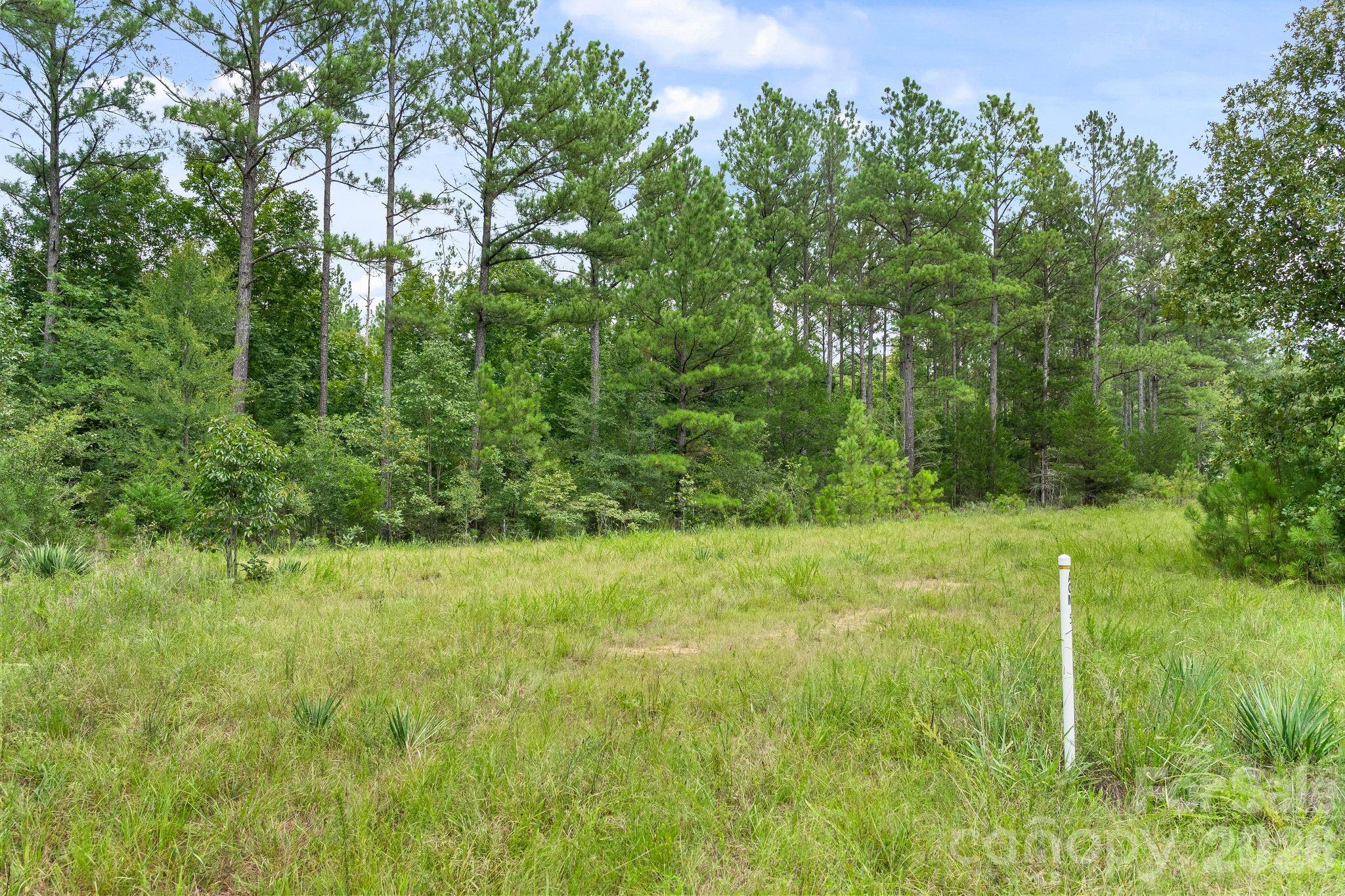 Acreage at 0000 Hwy 72 Highway, Carlisle, photo 13 of 30