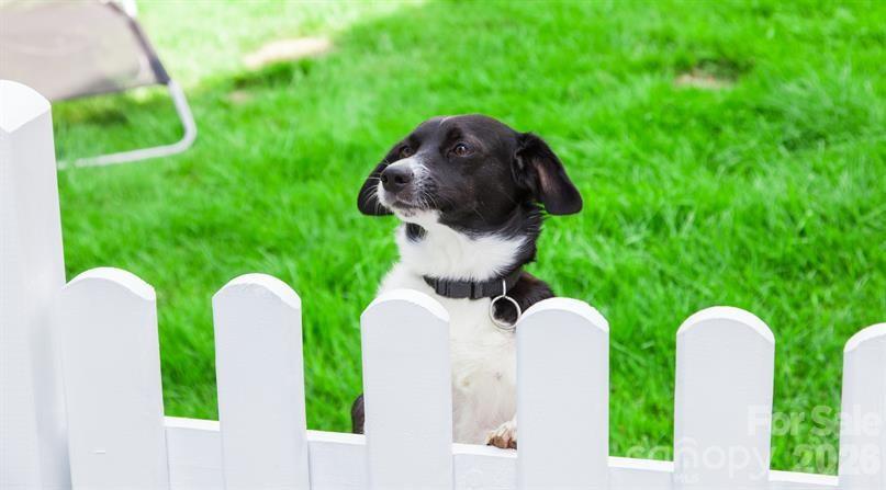 Dog Park - We haven't forgotten about your furry family member. Meet up with friends at the community dog park - 1237 Rutland Drive SW, Concord