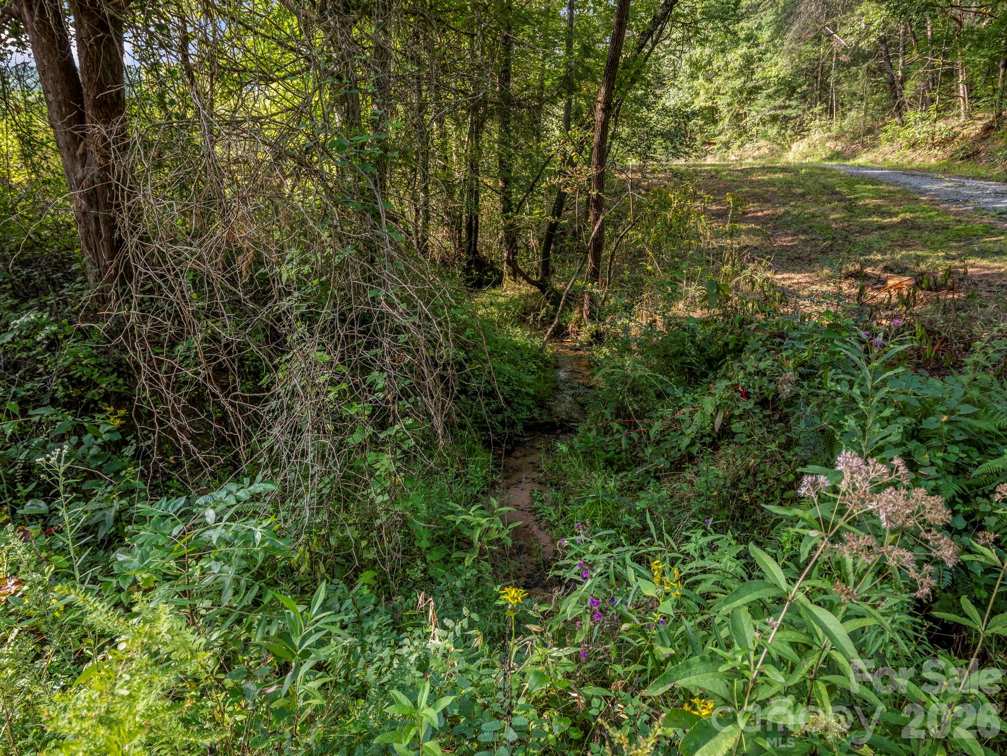 Creek - 184 Crawford Hollow, Rutherfordton
