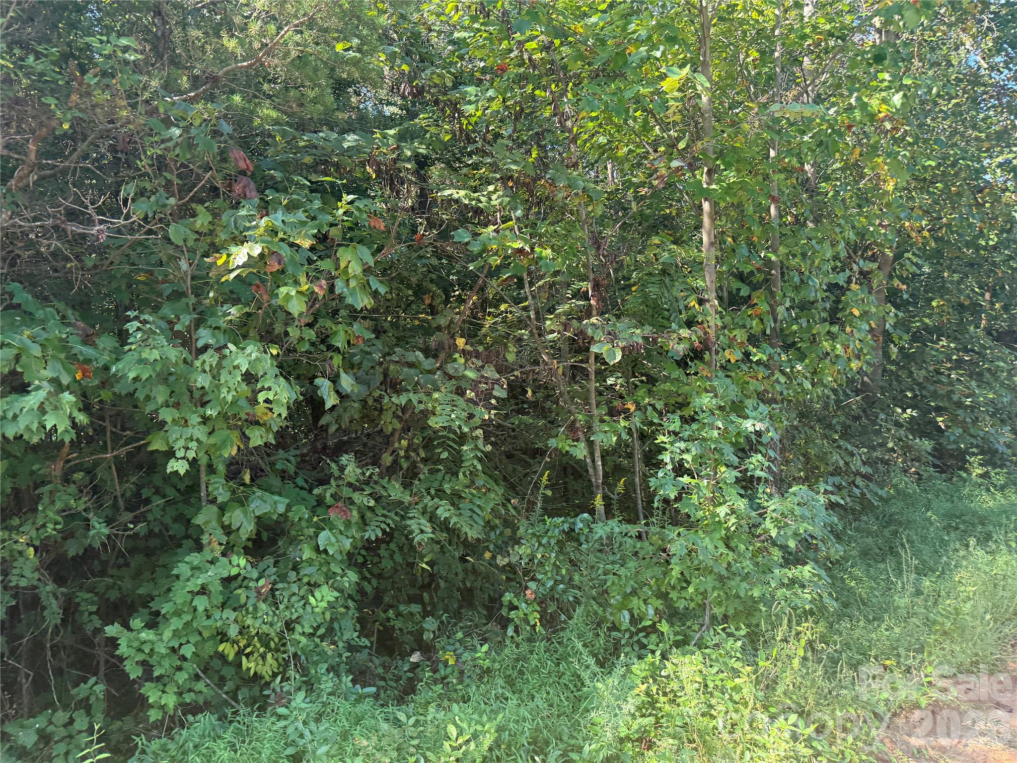 Lot at 145 Sundance Circle, Statesville, photo 2 of 5