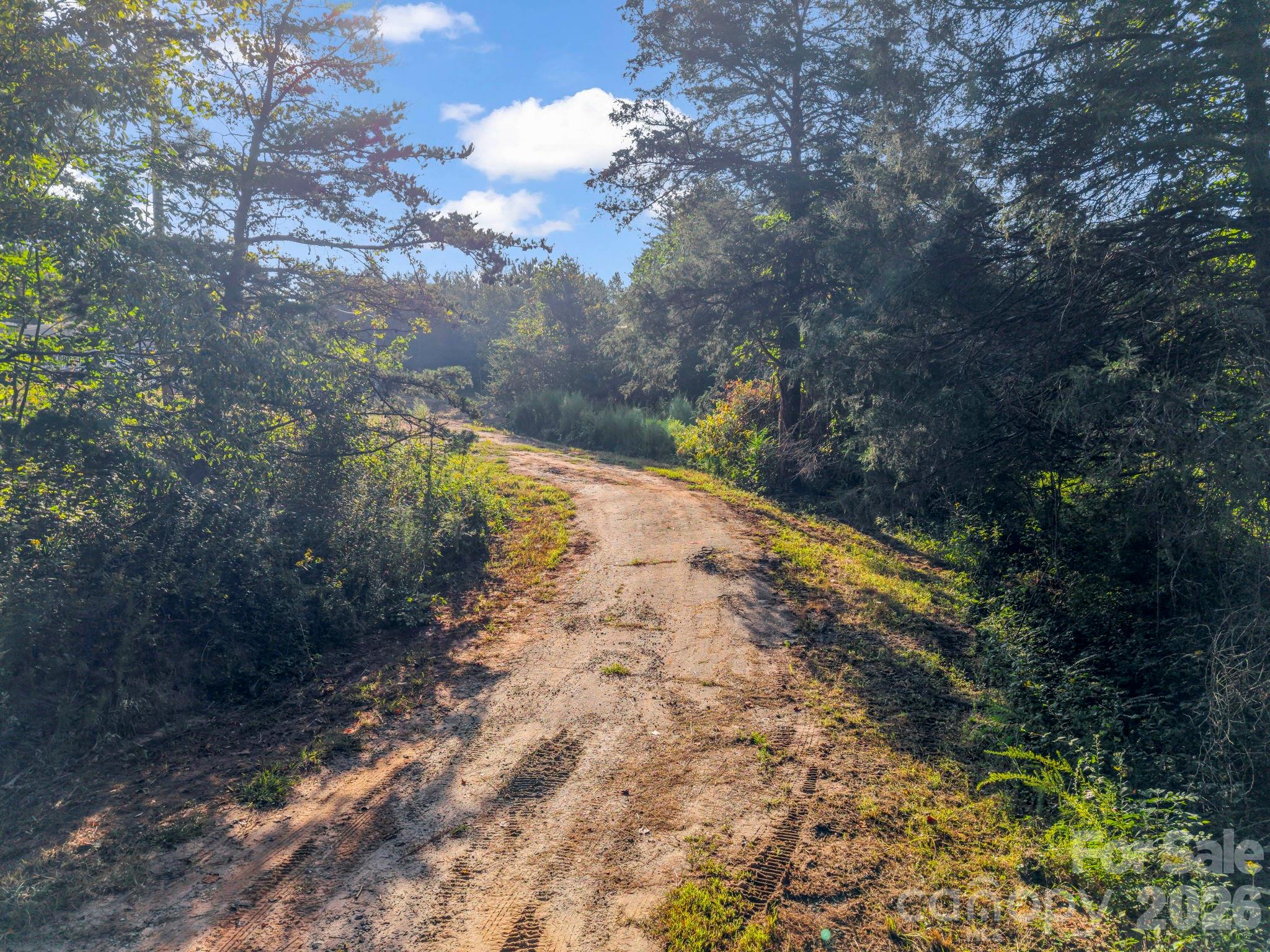 Drive Leading into Home. Previously Paved. - 184 Crawford Hollow, Rutherfordton