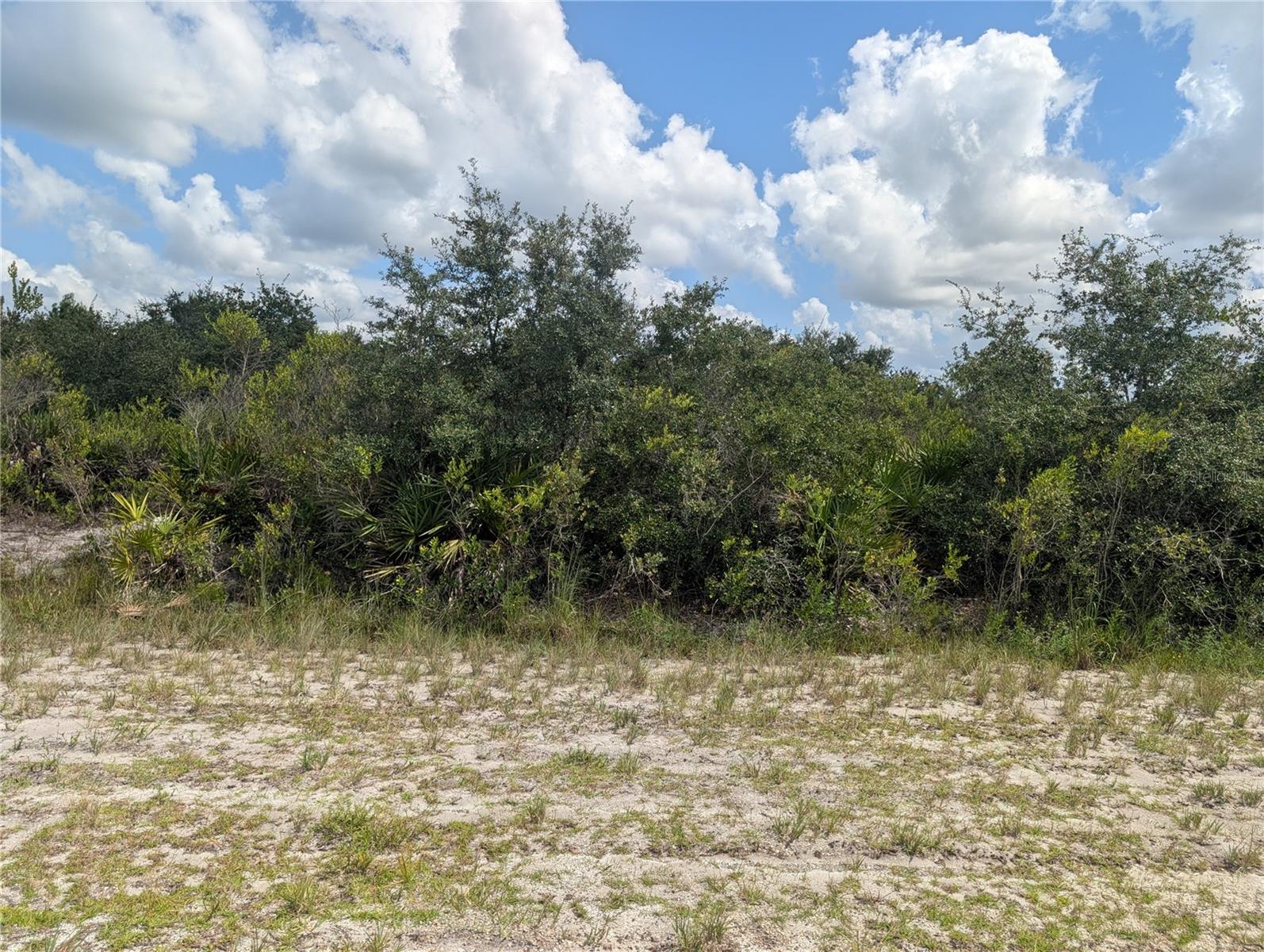 SARASOTA DR