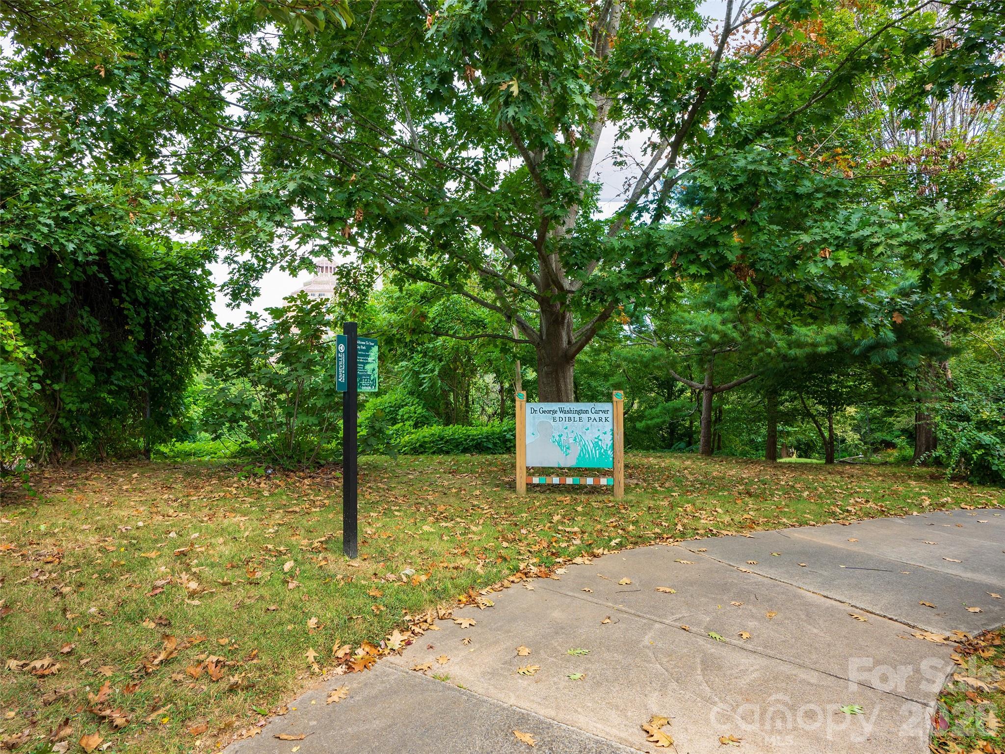 Single Family Residence at 10 Birdhouse Row, Asheville, photo 44 of 48