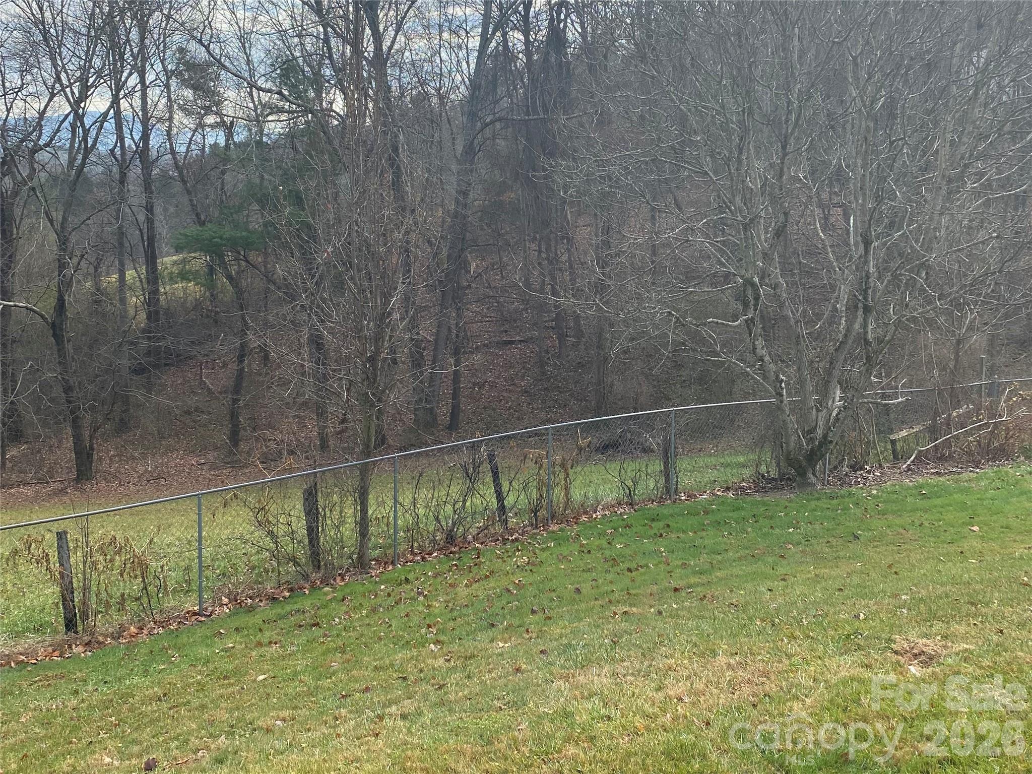 Single Family Residence at 48 Mckinnish Cove Drive, Asheville, photo 2 of 24