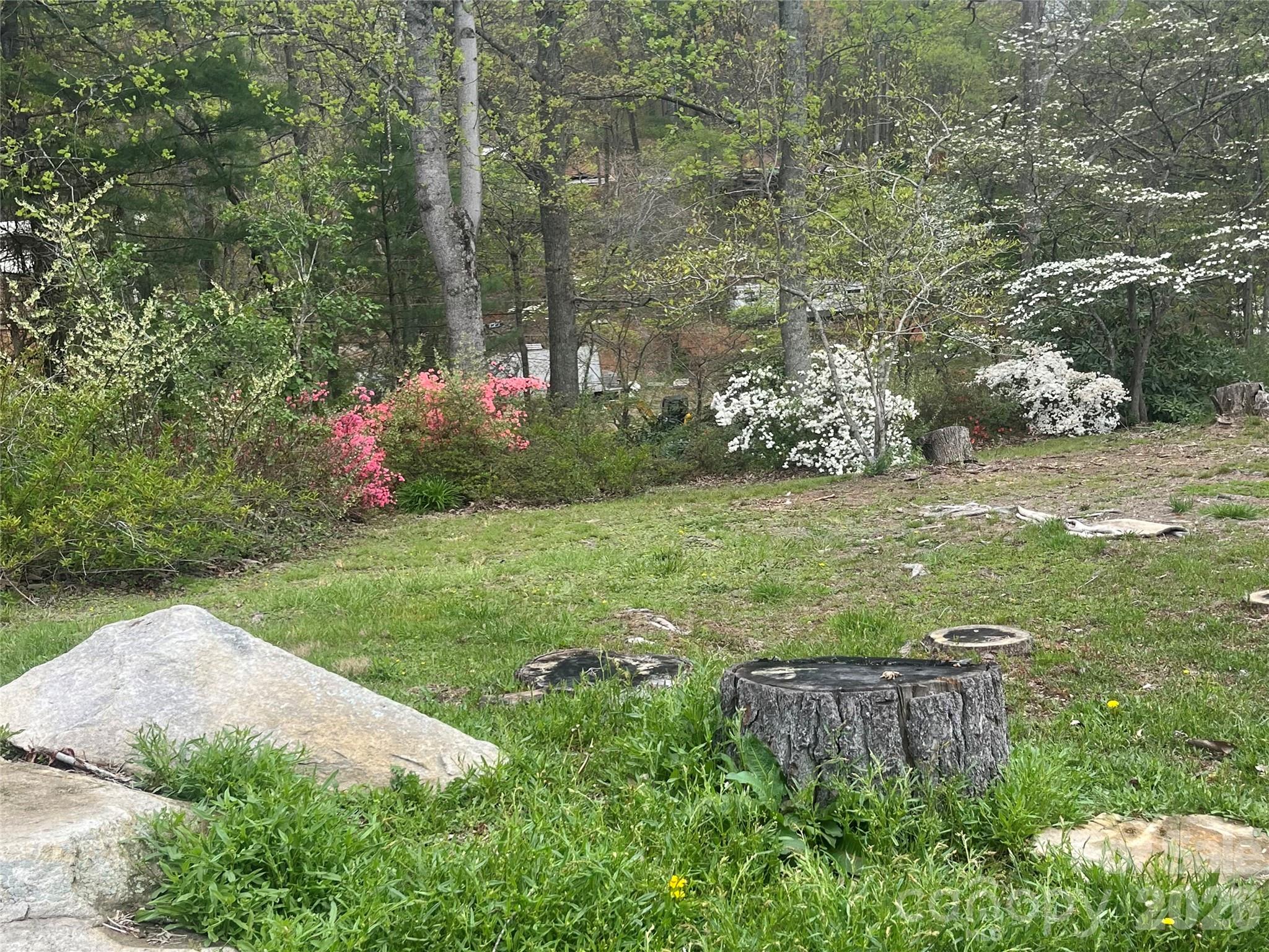 Single Family Residence at 48 Mckinnish Cove Drive, Asheville, photo 3 of 24