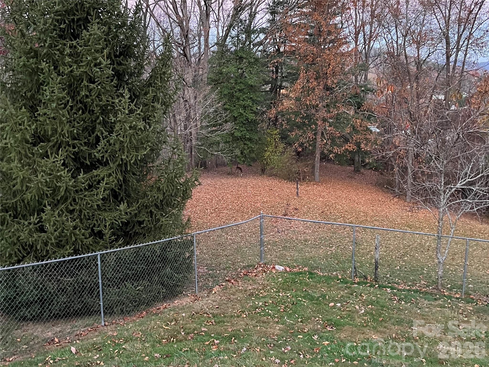 Single Family Residence at 48 Mckinnish Cove Drive, Asheville, photo 8 of 24