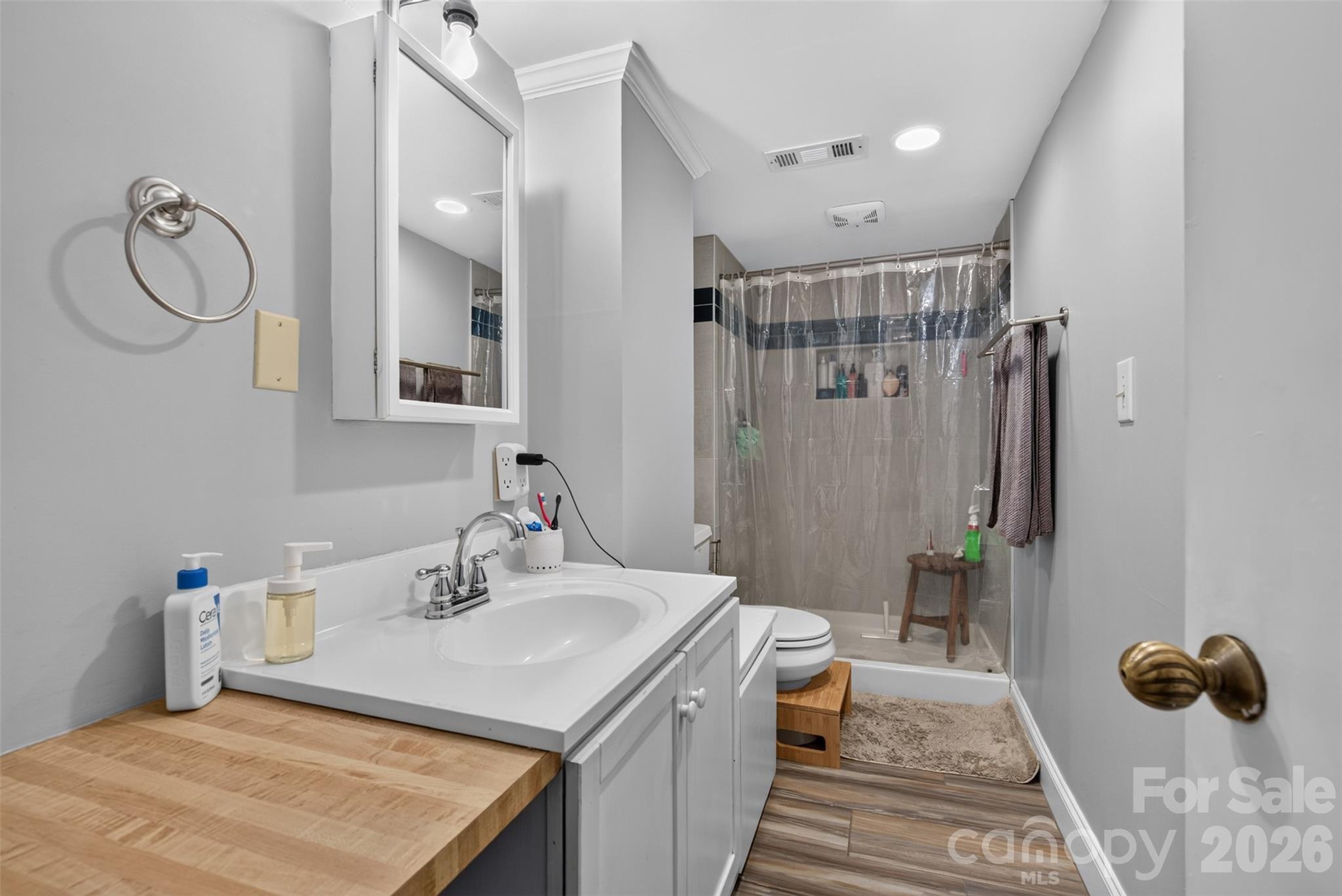 Basement Full Bath - 70 Saint Dunstans Circle, Asheville
