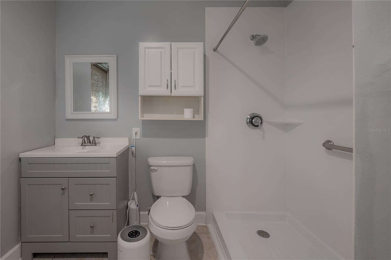 ADU Bathroom - 203 W FRIERSON AVE, TAMPA