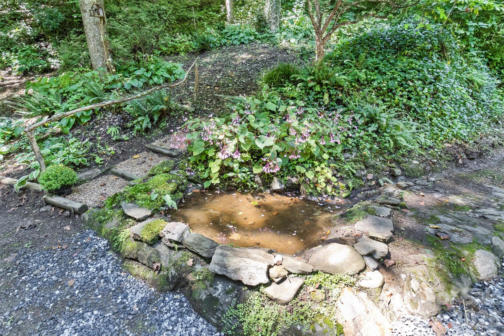 Small stream fed pond, perfect for goldfish... - 13 Cattail Drive, Sylva