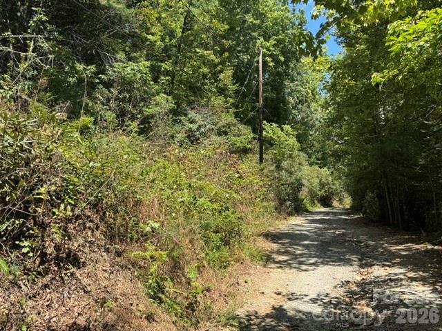 Lot at TBD Doris Drive, Hendersonville, photo 3 of 4