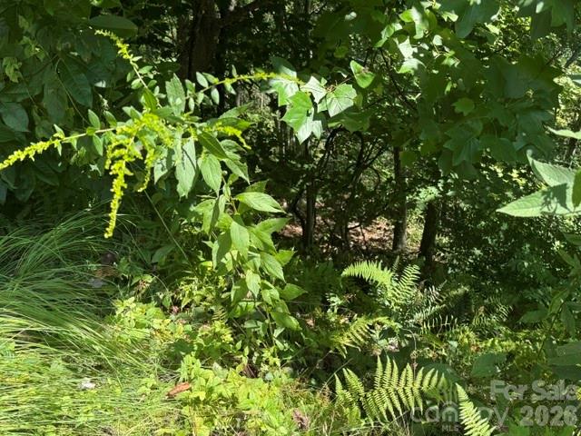 Lot at TBD Jane Lane, Hendersonville, photo 3 of 8