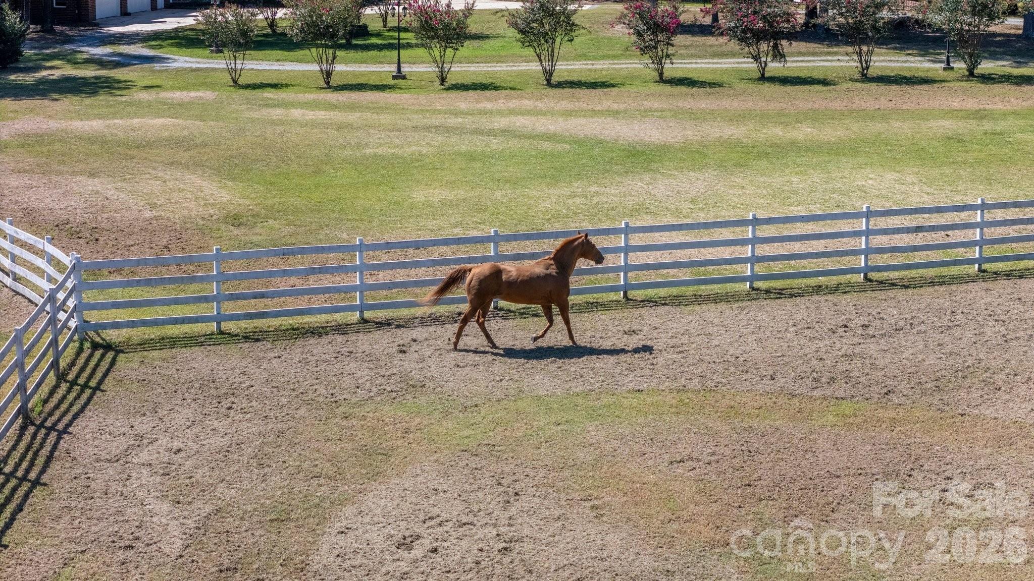 cross fenced pasture - 1517 Helms Short Cut Road, Monroe