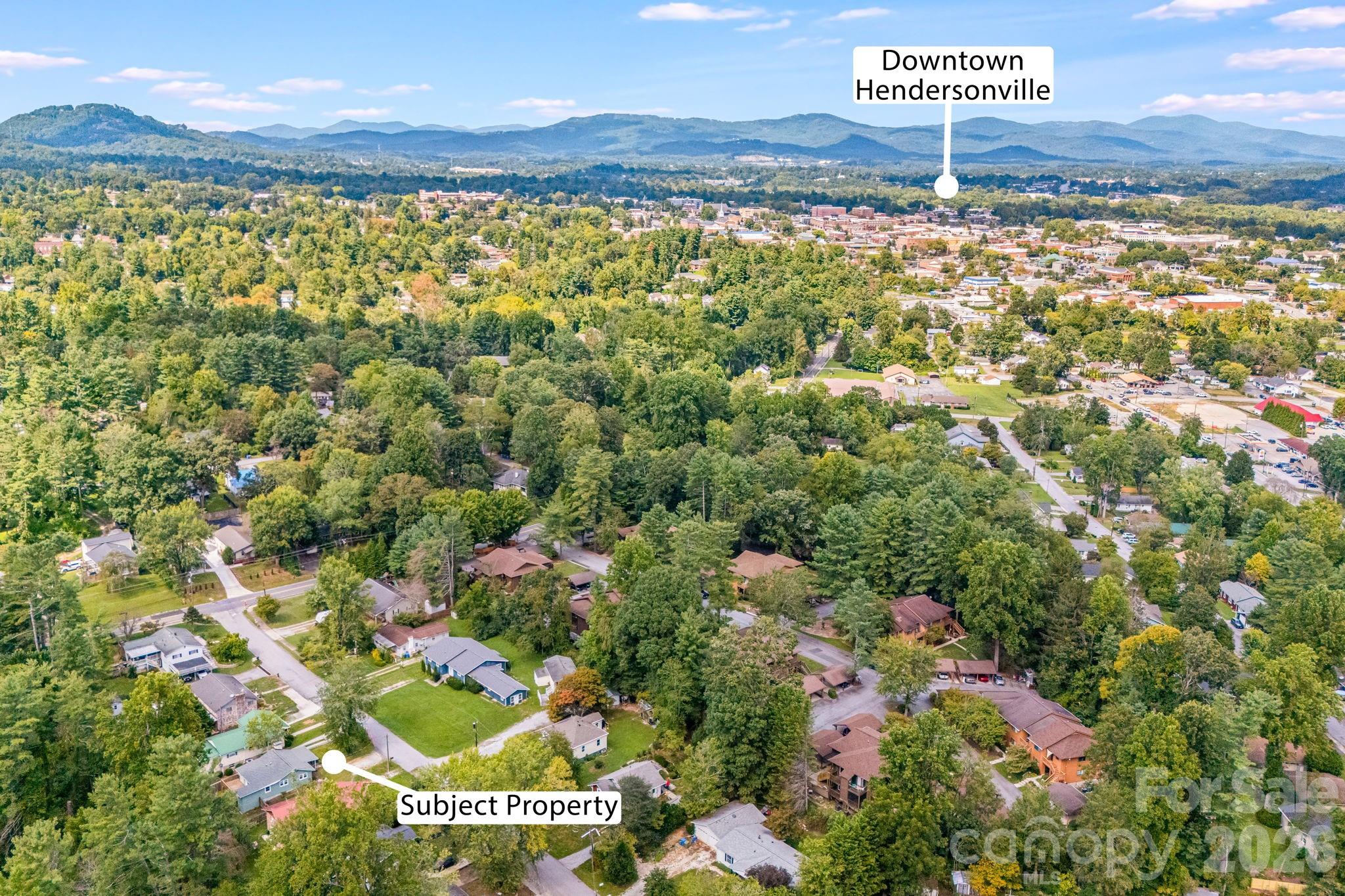 Single Family Residence at 1015 Mountain View Street, Hendersonville, photo 33 of 38