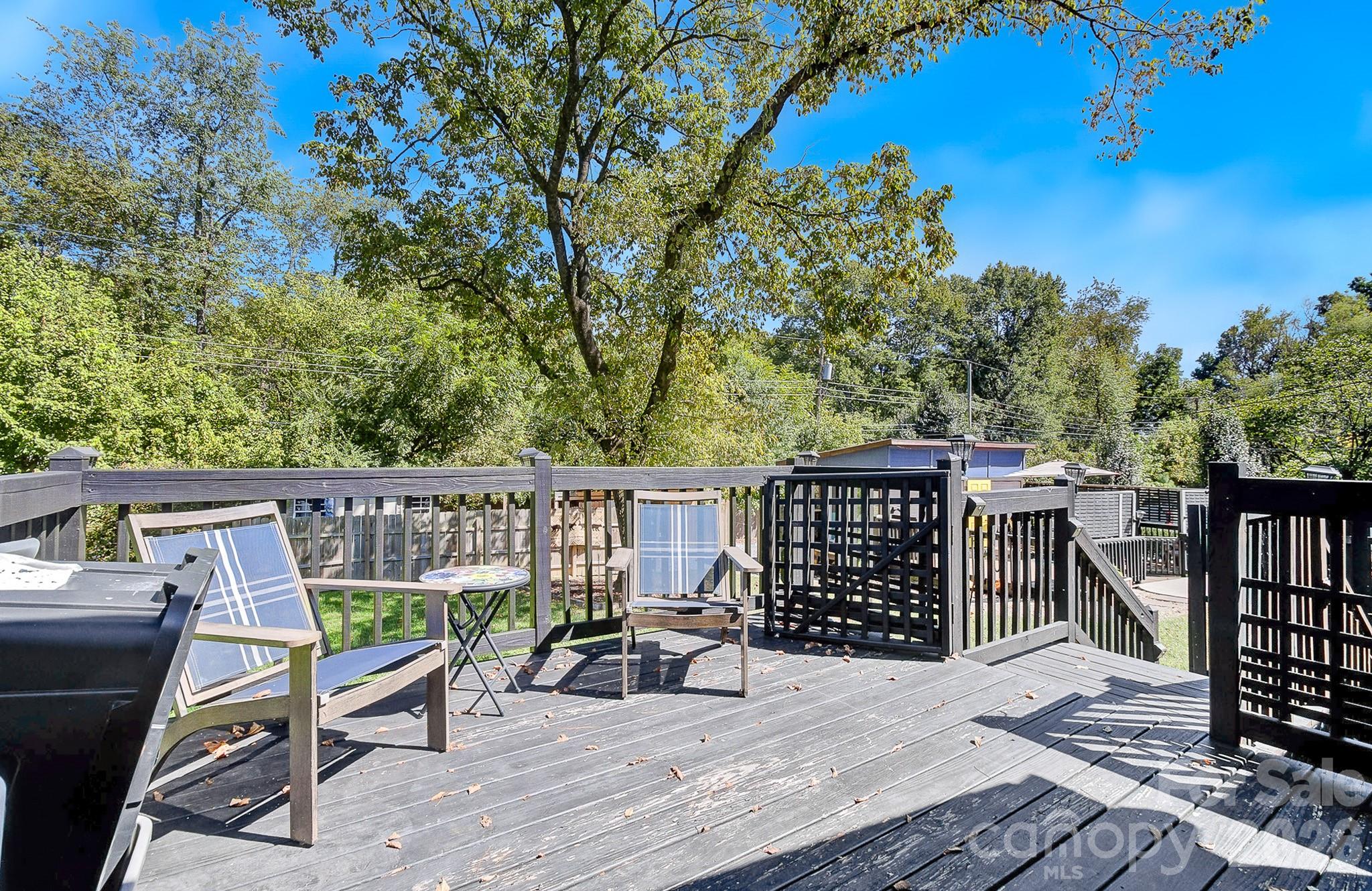 Single Family Residence at 312 Jack Street, Hendersonville, photo 24 of 48