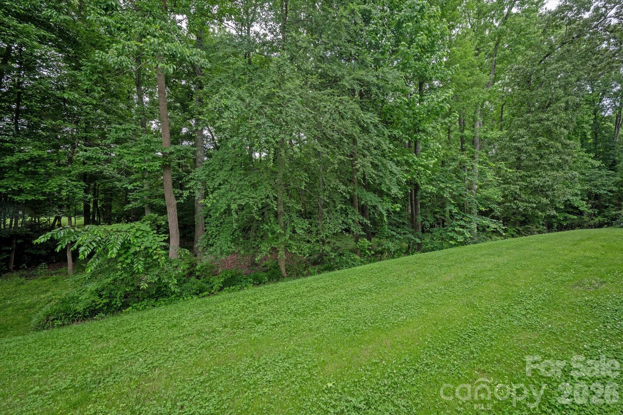 Single Family Residence at 409 Running Horse Lane, Waxhaw, photo 31 of 35