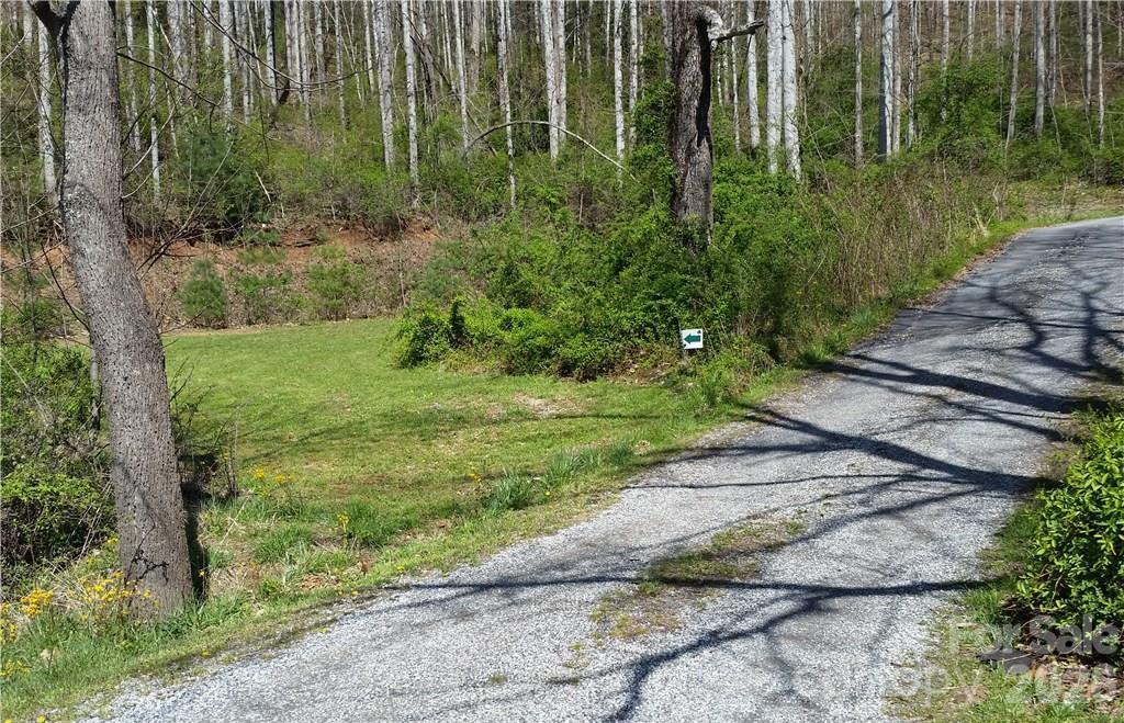 Lot at 31 Mistletoe Ridge, Waynesville, photo 4 of 27