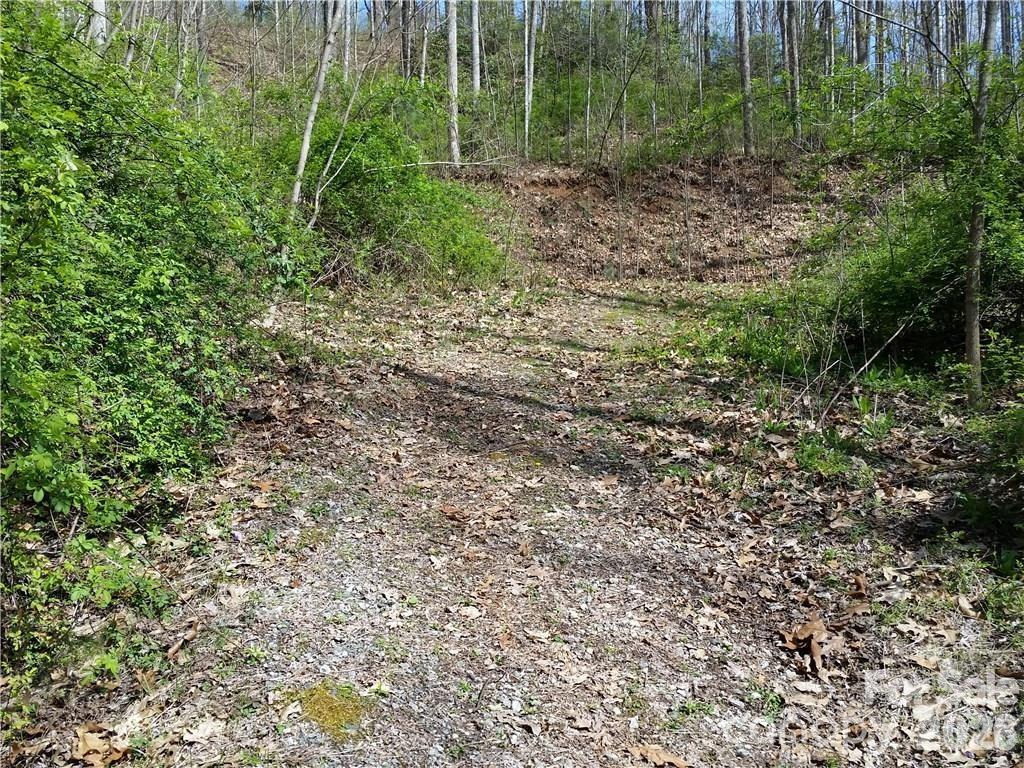 Lot at 31 Mistletoe Ridge, Waynesville, photo 11 of 27