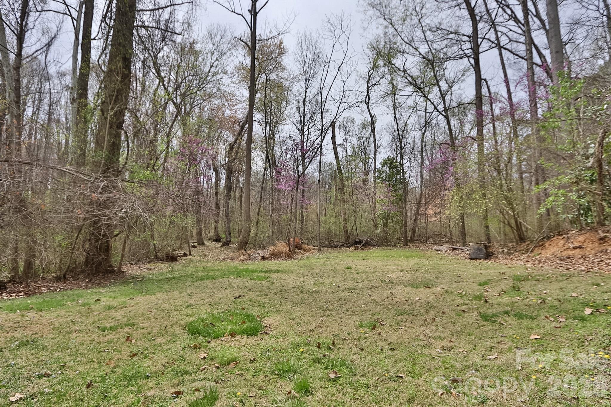 Single Family Residence at 419 Cypress Drive, Reidsville, photo 3 of 43