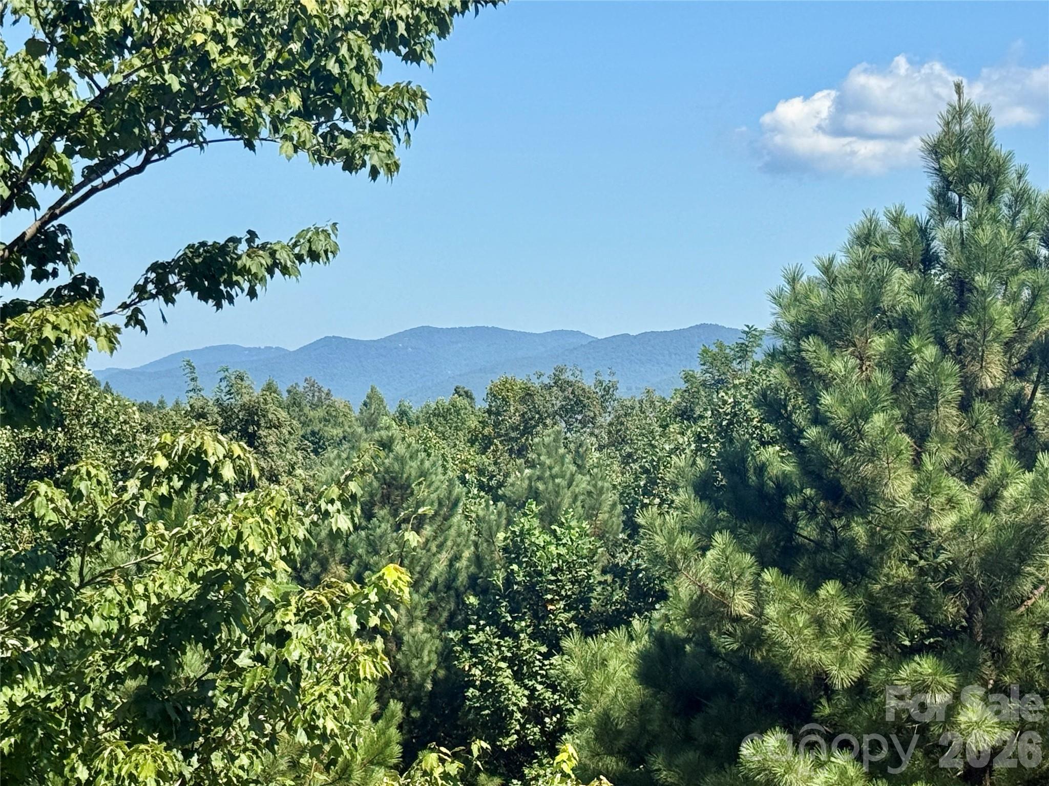 South Mountain views - 315 Lakeview Trail, Nebo