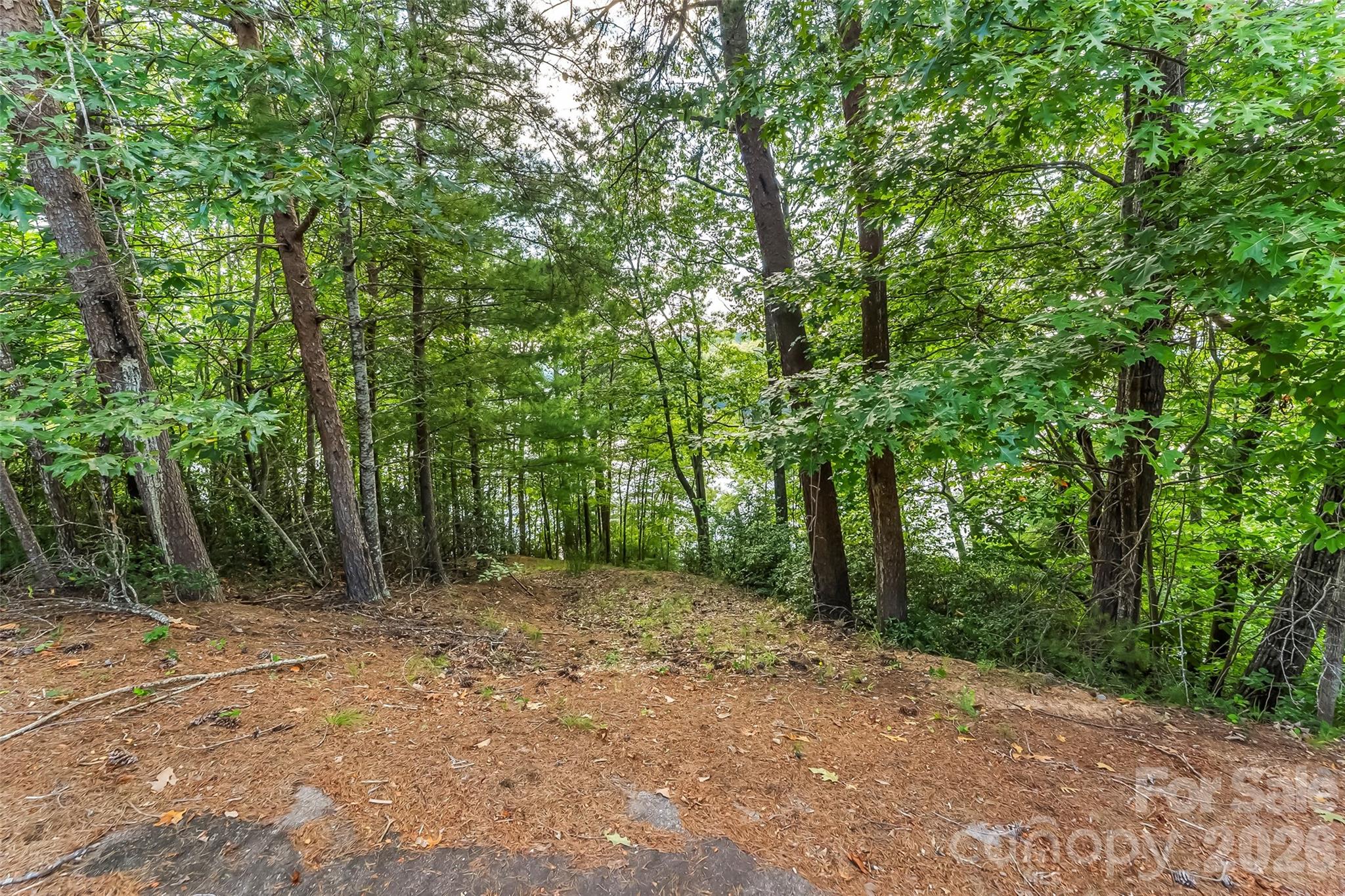Lot at 84 Peninsula Drive, Nebo, photo 21 of 21