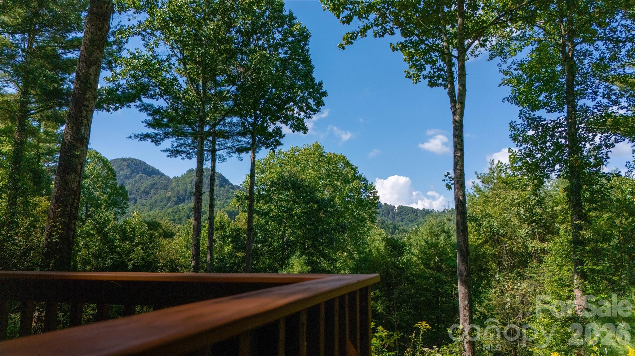 Single Family Residence at 319 Dancing Leaf Lane, Bakersville, photo 12 of 28
