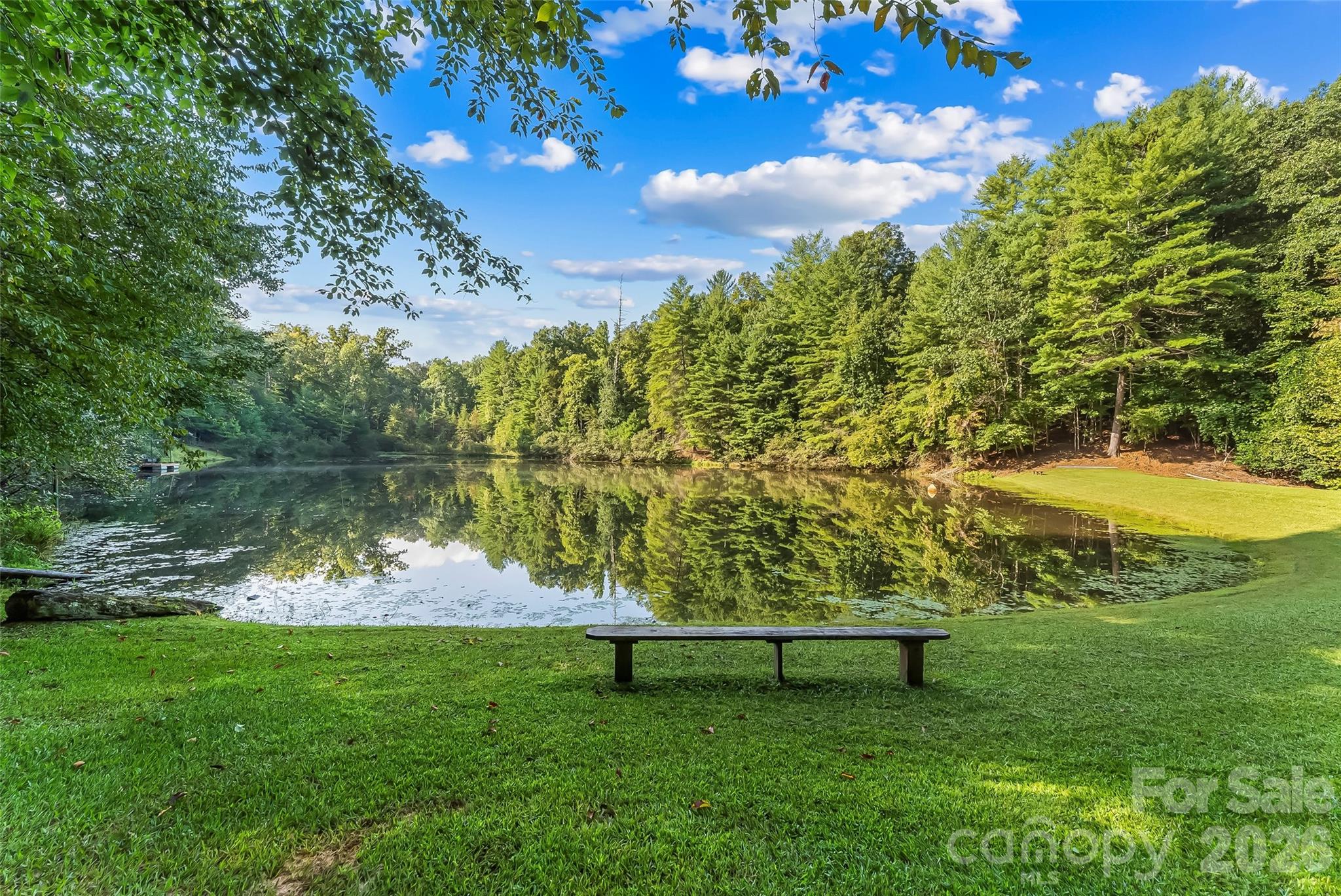 Community Pond - 314 Old Mill Road, Nebo