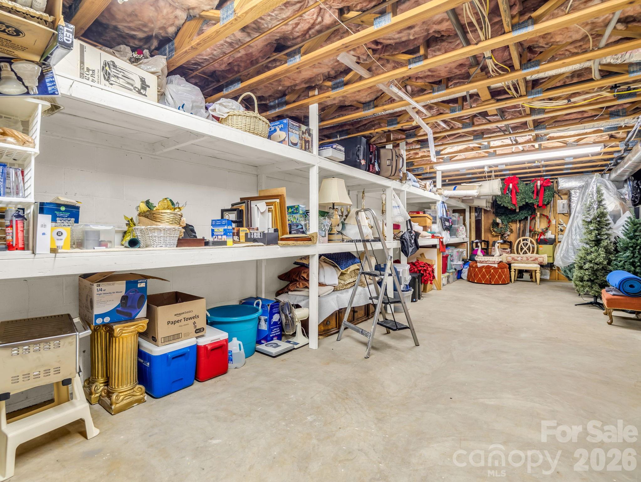 Storage in basement - 164 Brookfield Drive, Forest City
