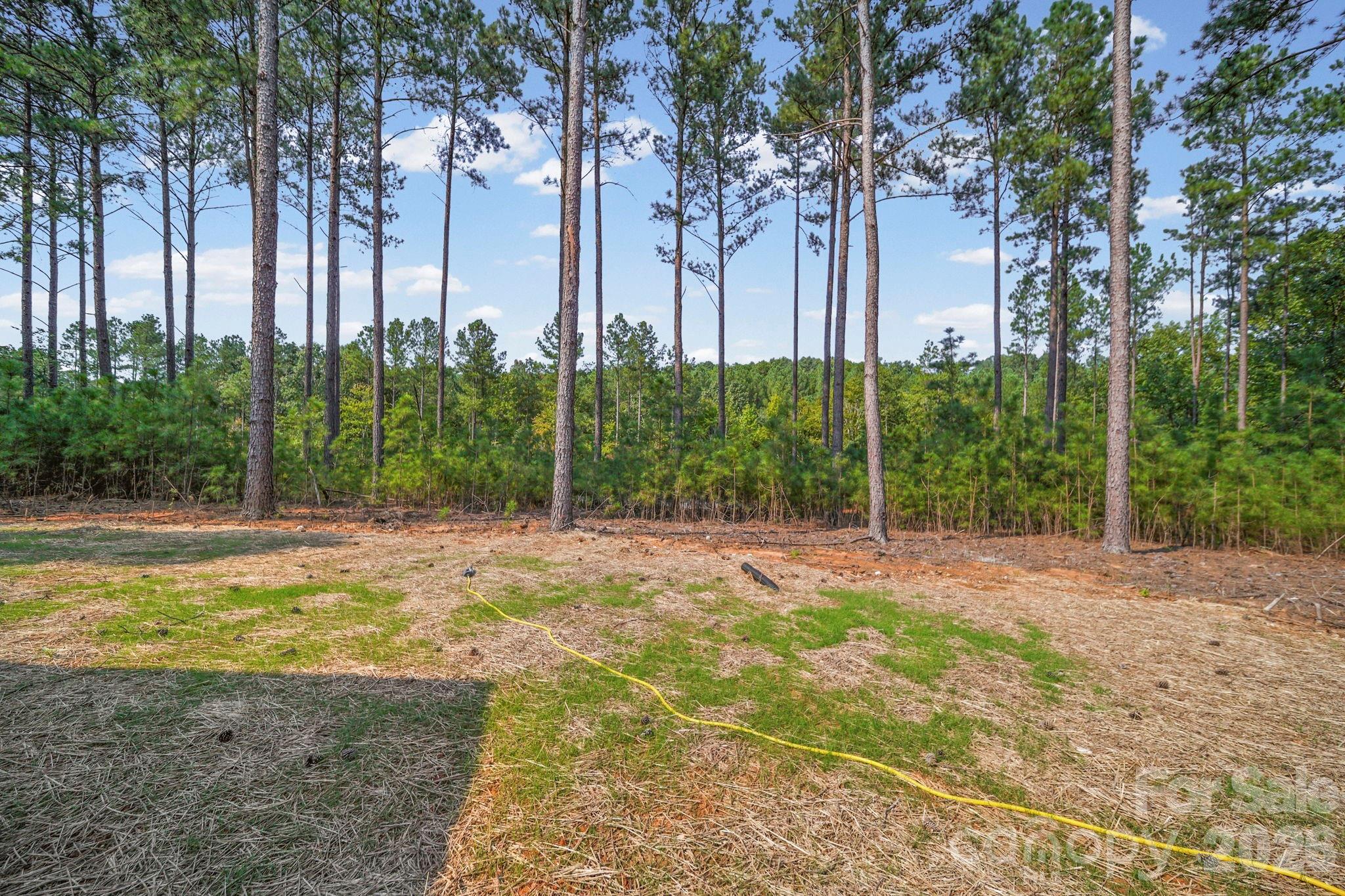 Backyard - 224 Plantation Way, Mount Gilead