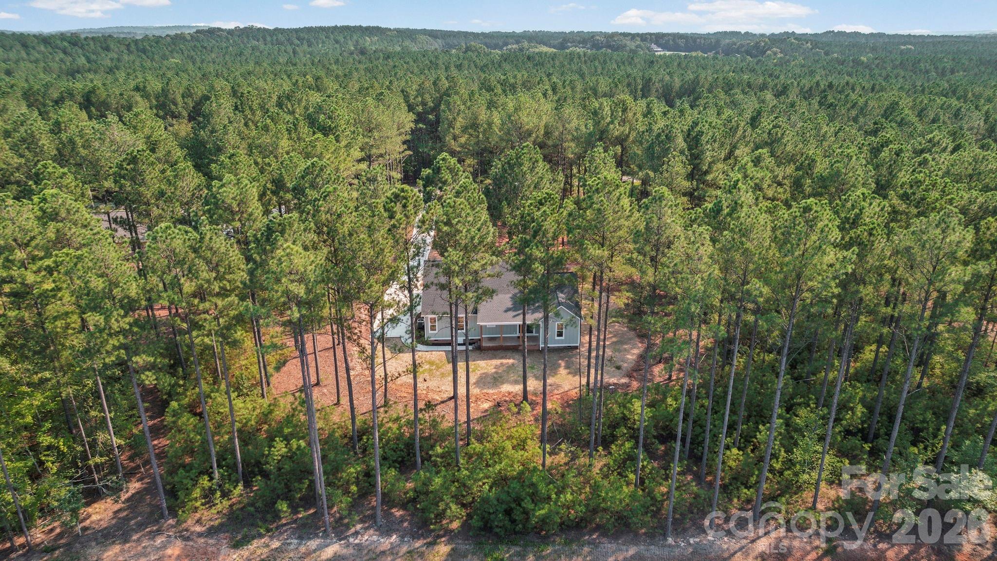 Drone View of rear of home - 224 Plantation Way, Mount Gilead