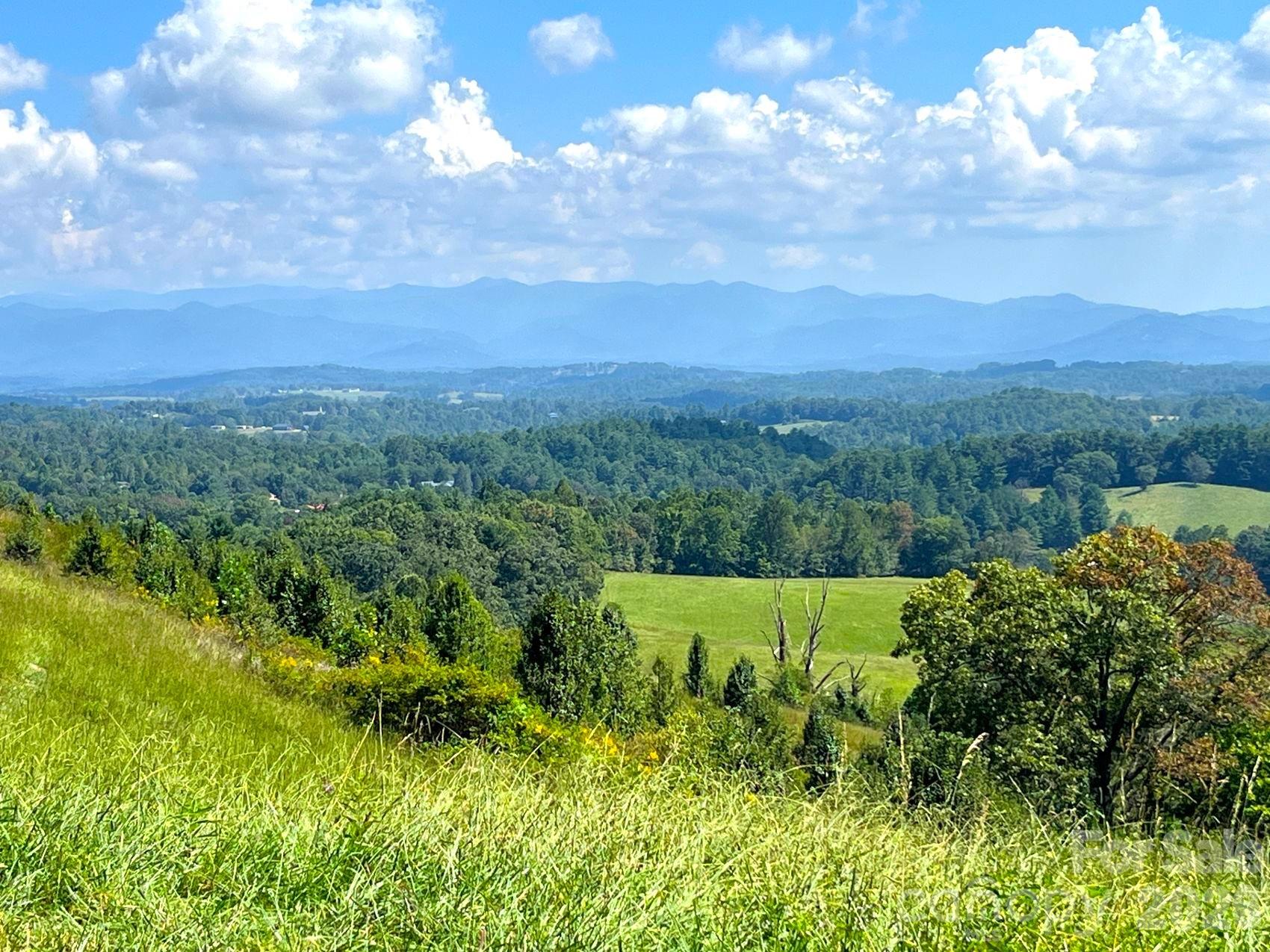Looking out to Mt. Mitchell, 26 miles away. - 00 Don Felmet Road, Leicester