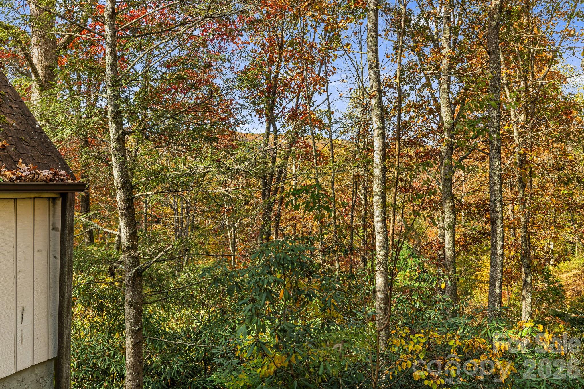 Single Family Residence at 425 Bob Barnwell Road, Asheville, photo 42 of 48
