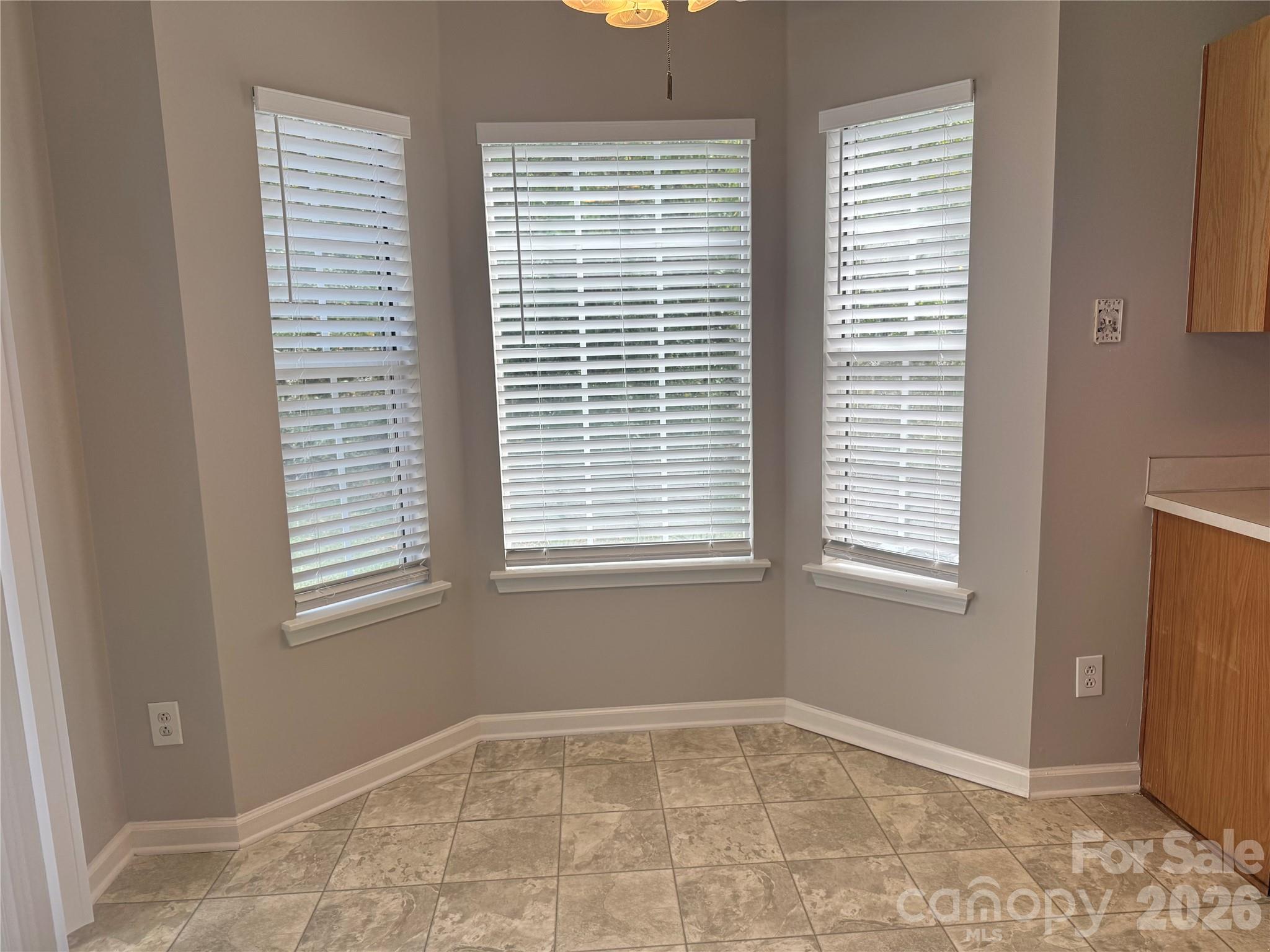 Single Family Residence at 8817 Elkins Park Drive, Matthews, photo 7 of 21