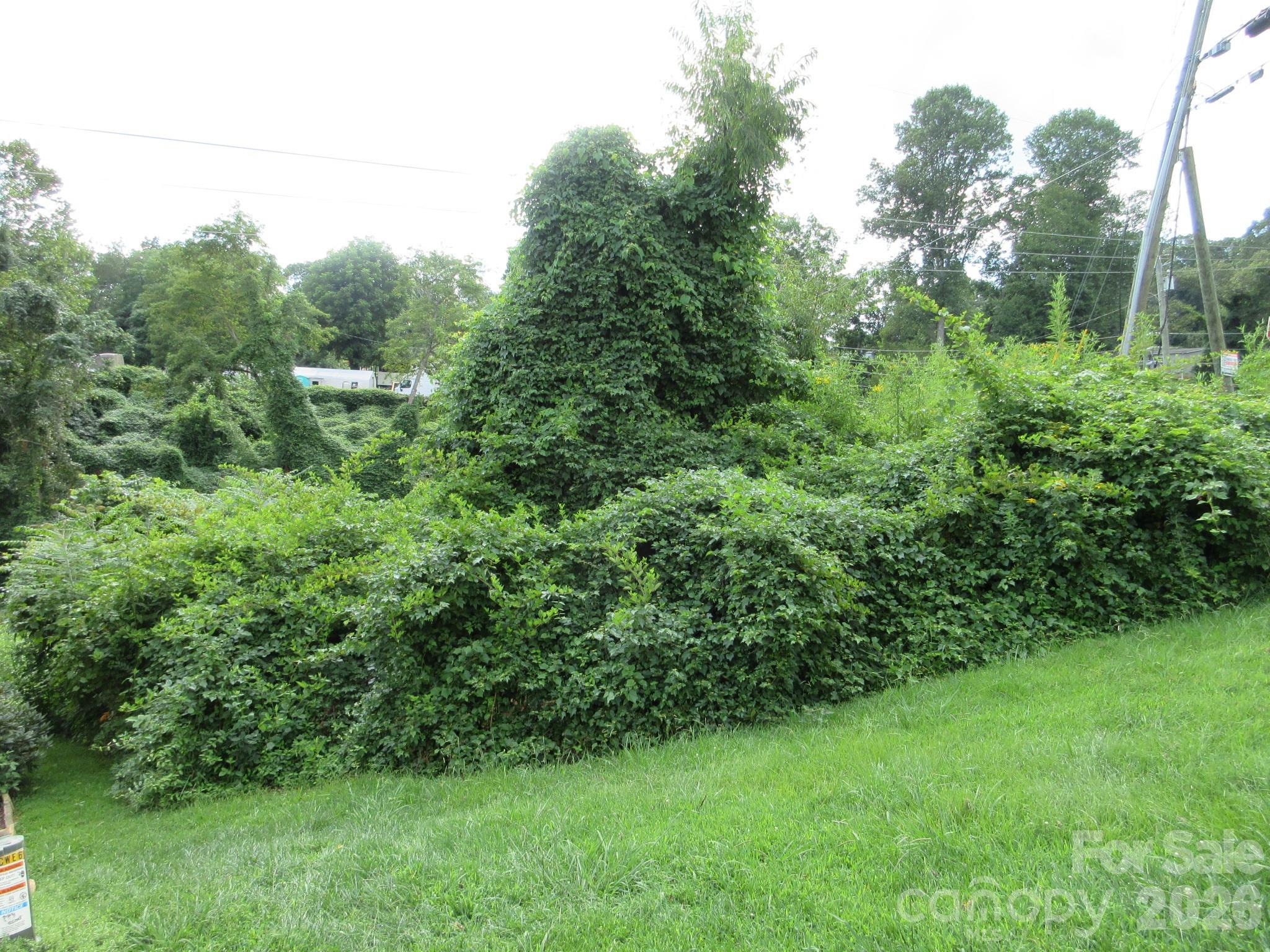 Front of the  lot - 3 N Belgium Lane, Asheville