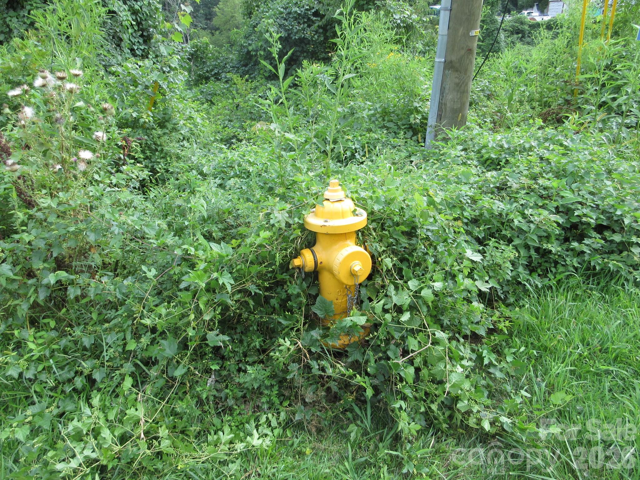 Fire Hydrant on Lot - 3 N Belgium Lane, Asheville