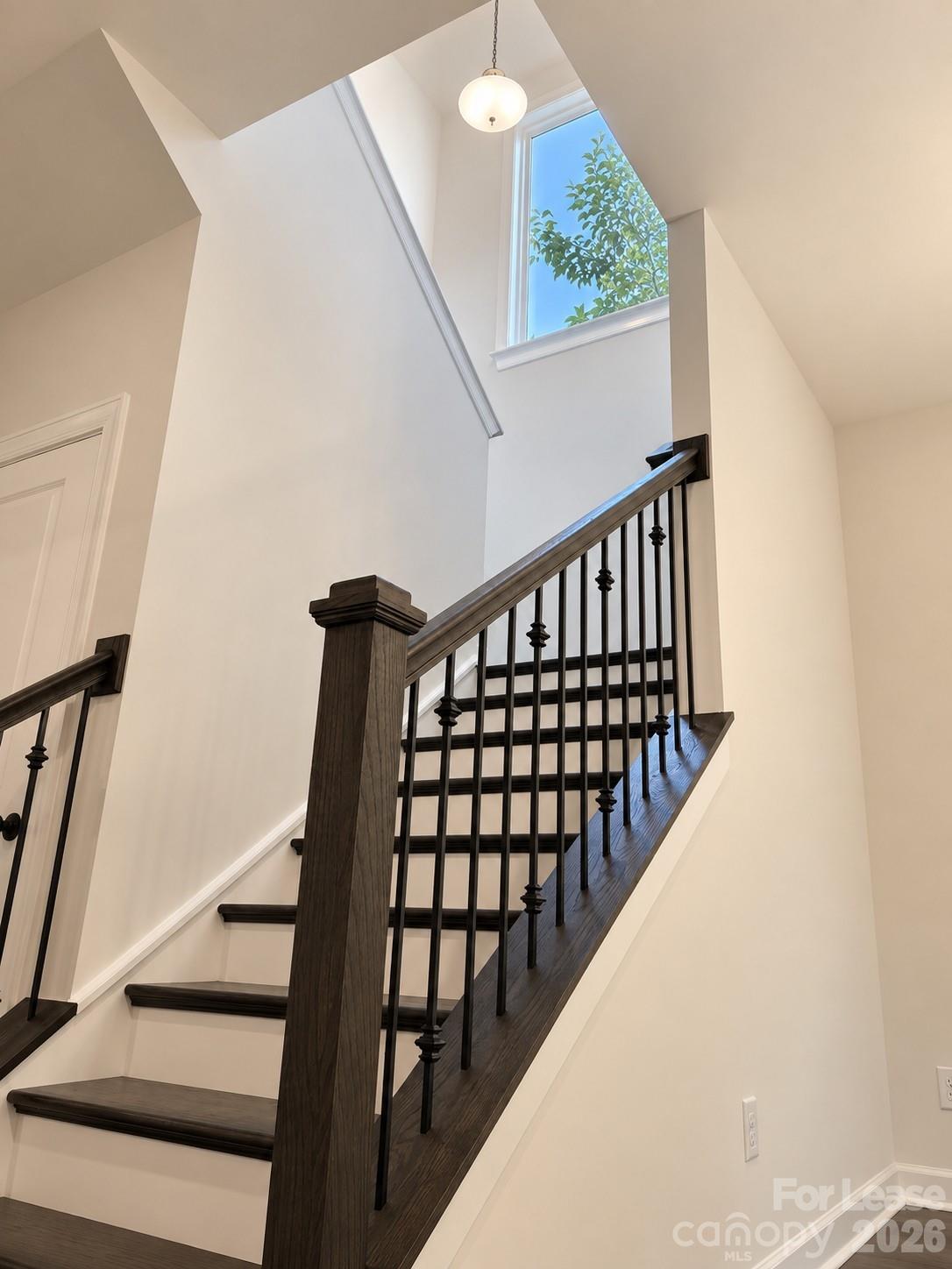 Single Family Residence at 812 E 19th Street, Charlotte, photo 30 of 48