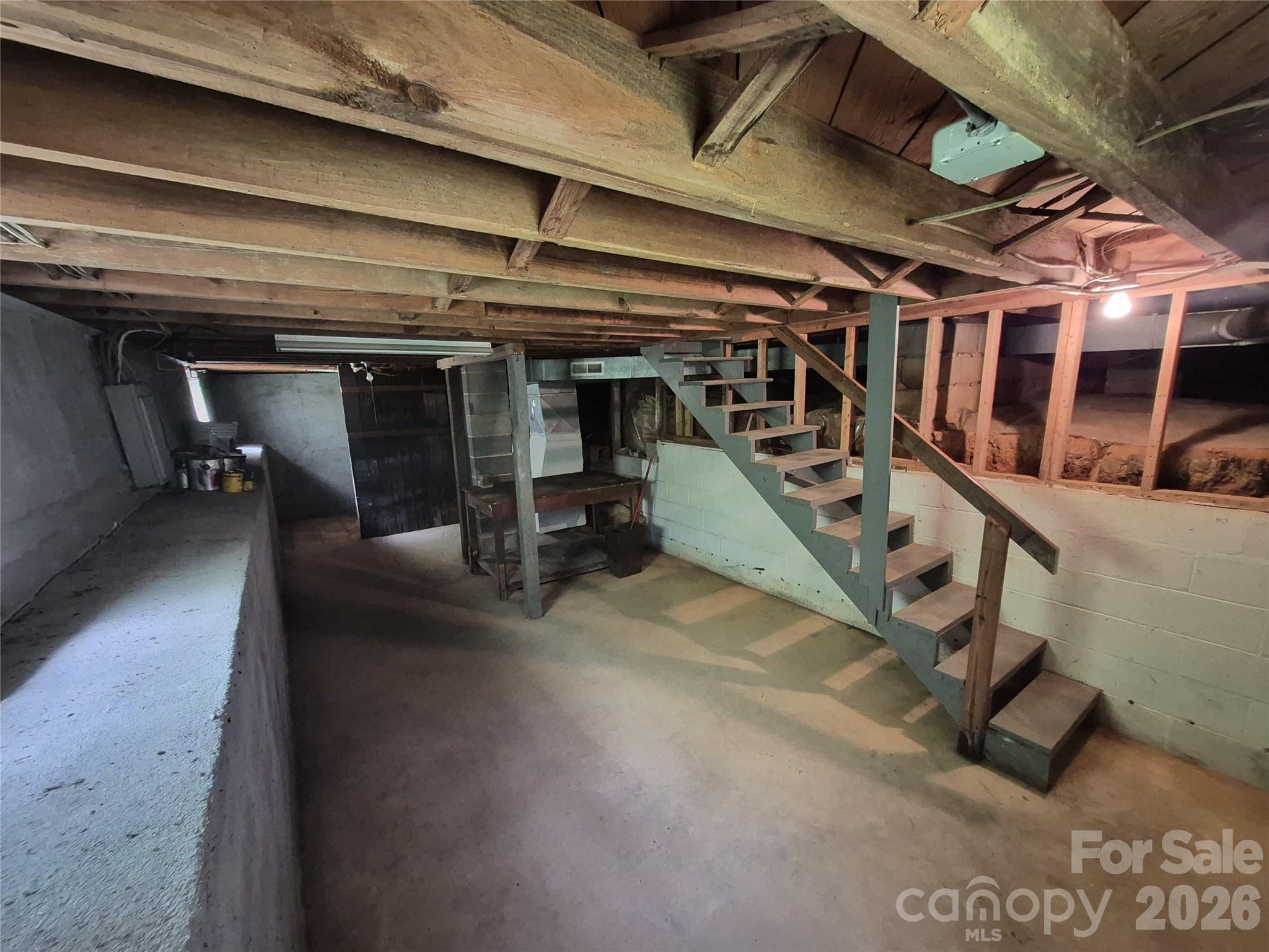 Basement - 16 Shannon Drive, Asheville
