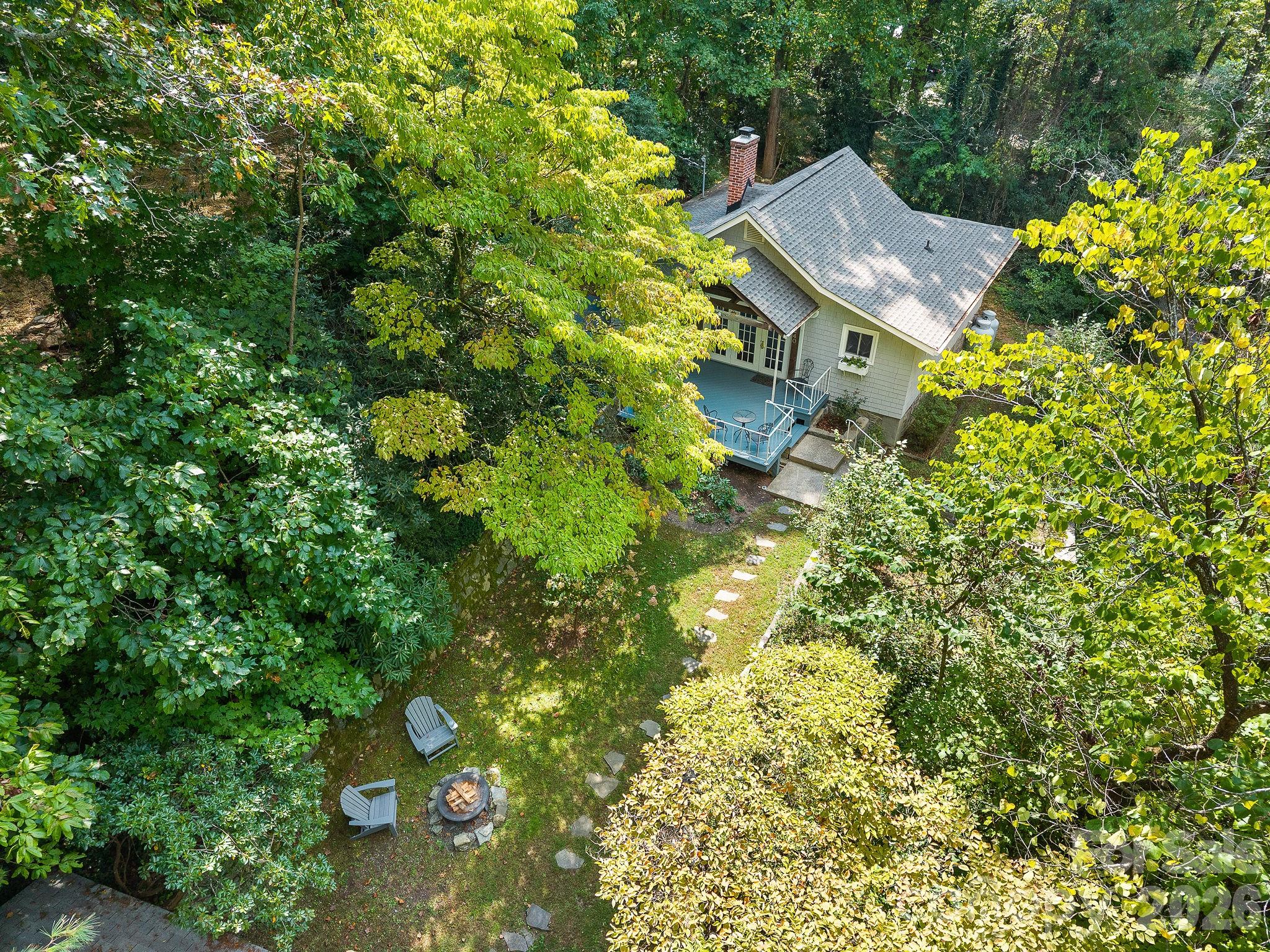 Large Dogwood tree - 240 Seneca Boulevard, Hendersonville