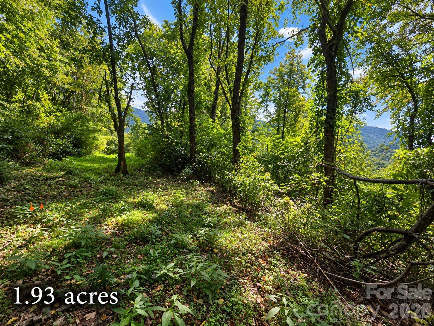Lot at 81 Dove Crest Lane, Waynesville, photo 3 of 26