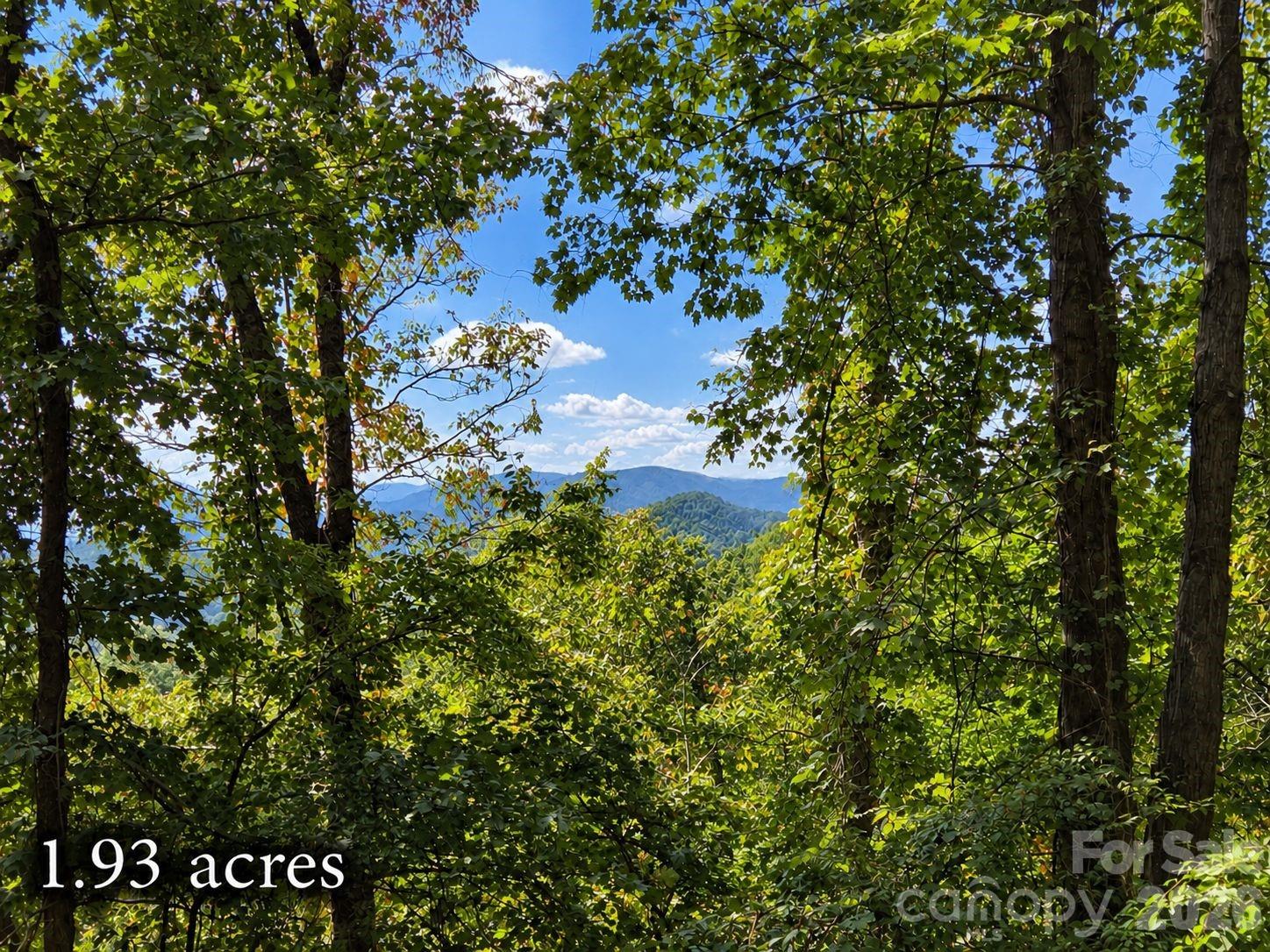 Lot at 81 Dove Crest Lane, Waynesville, photo 5 of 26