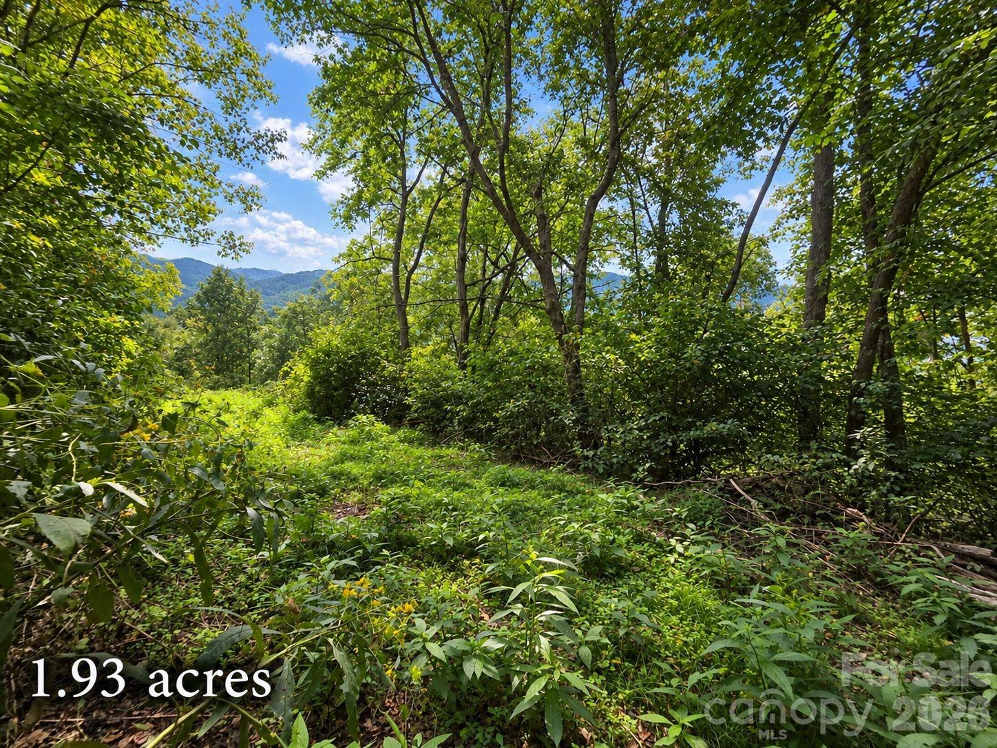 Lot at 81 Dove Crest Lane, Waynesville, photo 8 of 26