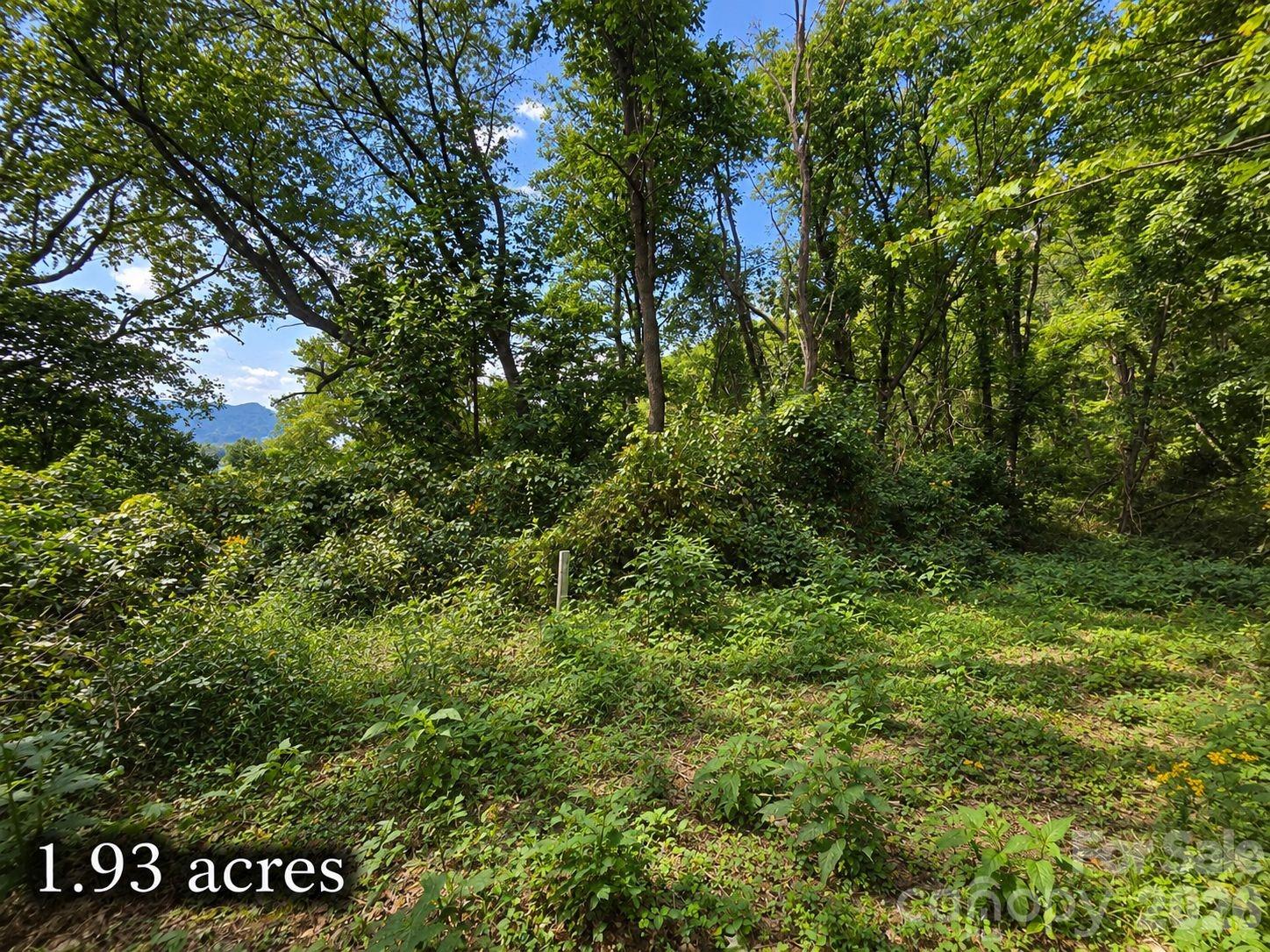Lot at 81 Dove Crest Lane, Waynesville, photo 16 of 26
