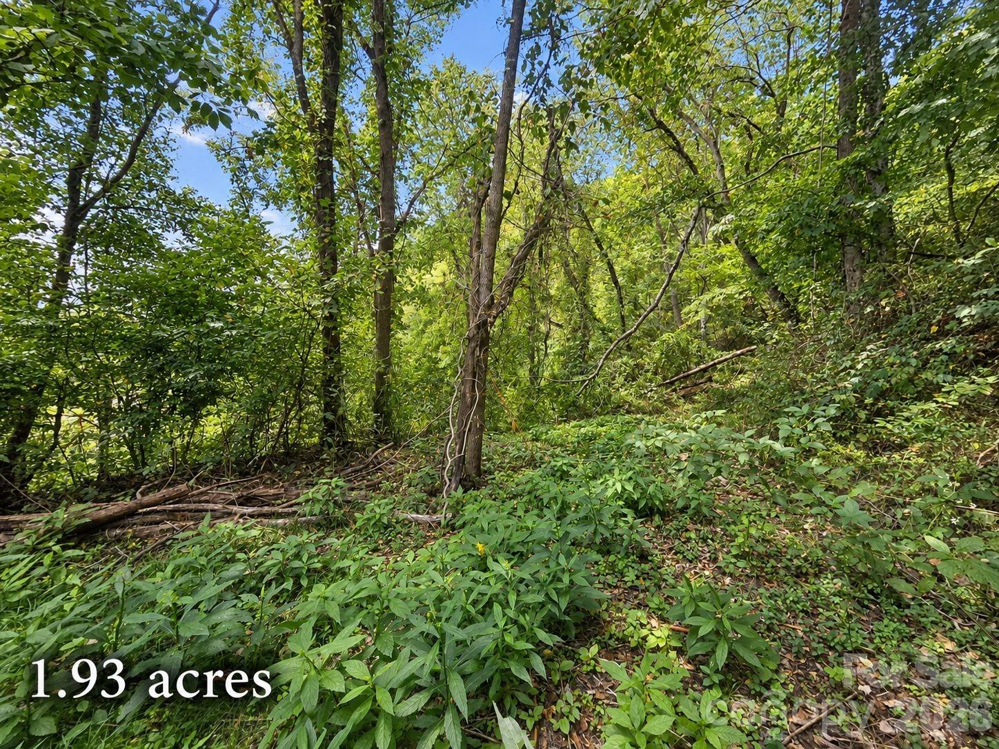 Lot at 81 Dove Crest Lane, Waynesville, photo 17 of 26