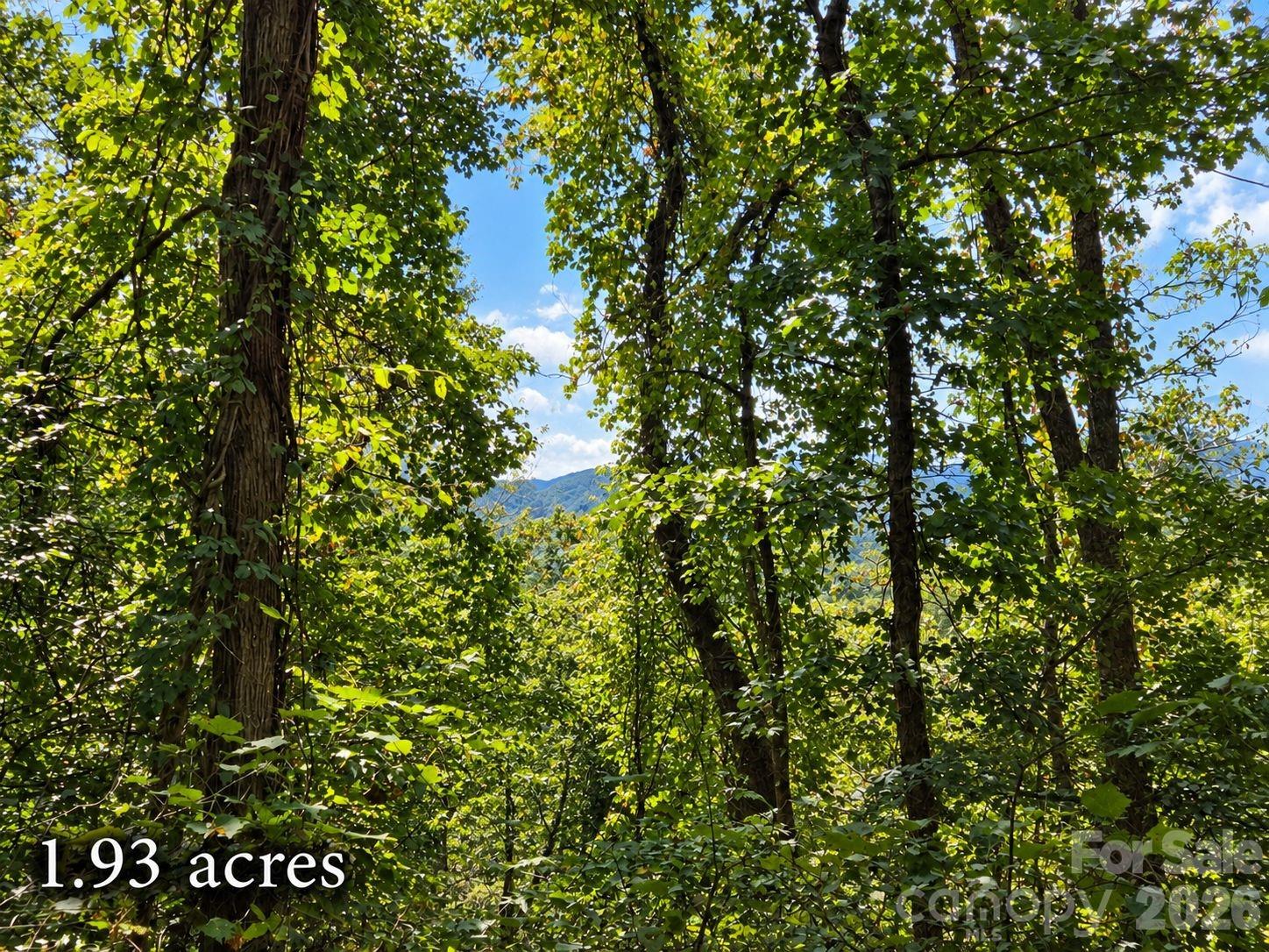 Lot at 81 Dove Crest Lane, Waynesville, photo 18 of 26