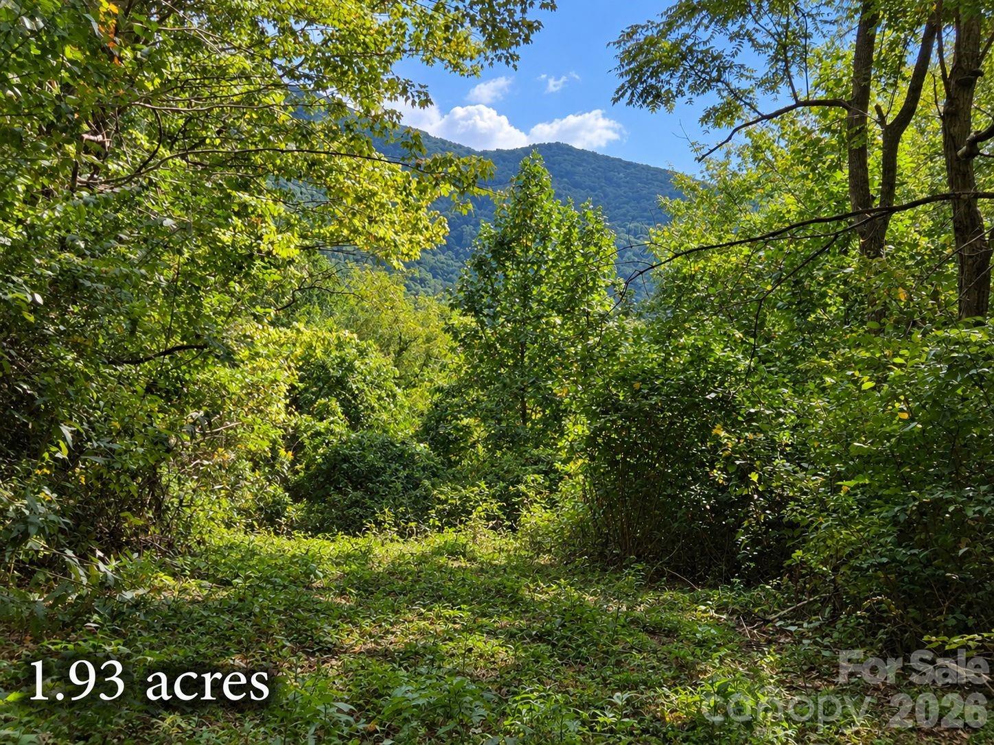Lot at 81 Dove Crest Lane, Waynesville, photo 19 of 26