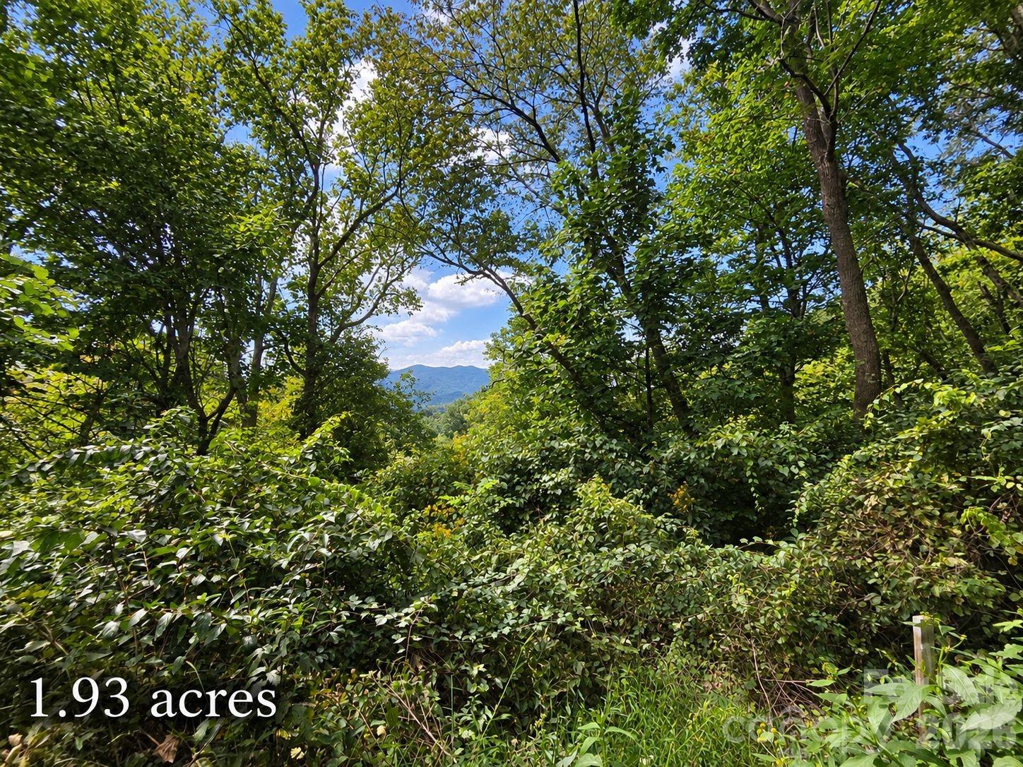 Lot at 81 Dove Crest Lane, Waynesville, photo 22 of 26